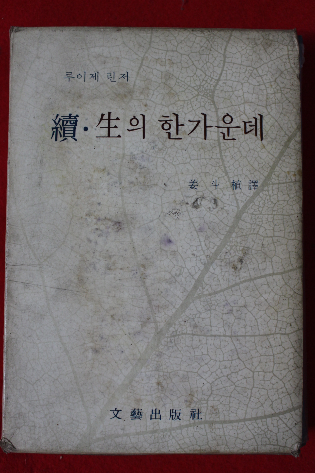 1970년 루이제 린저 속 생의 한가운데