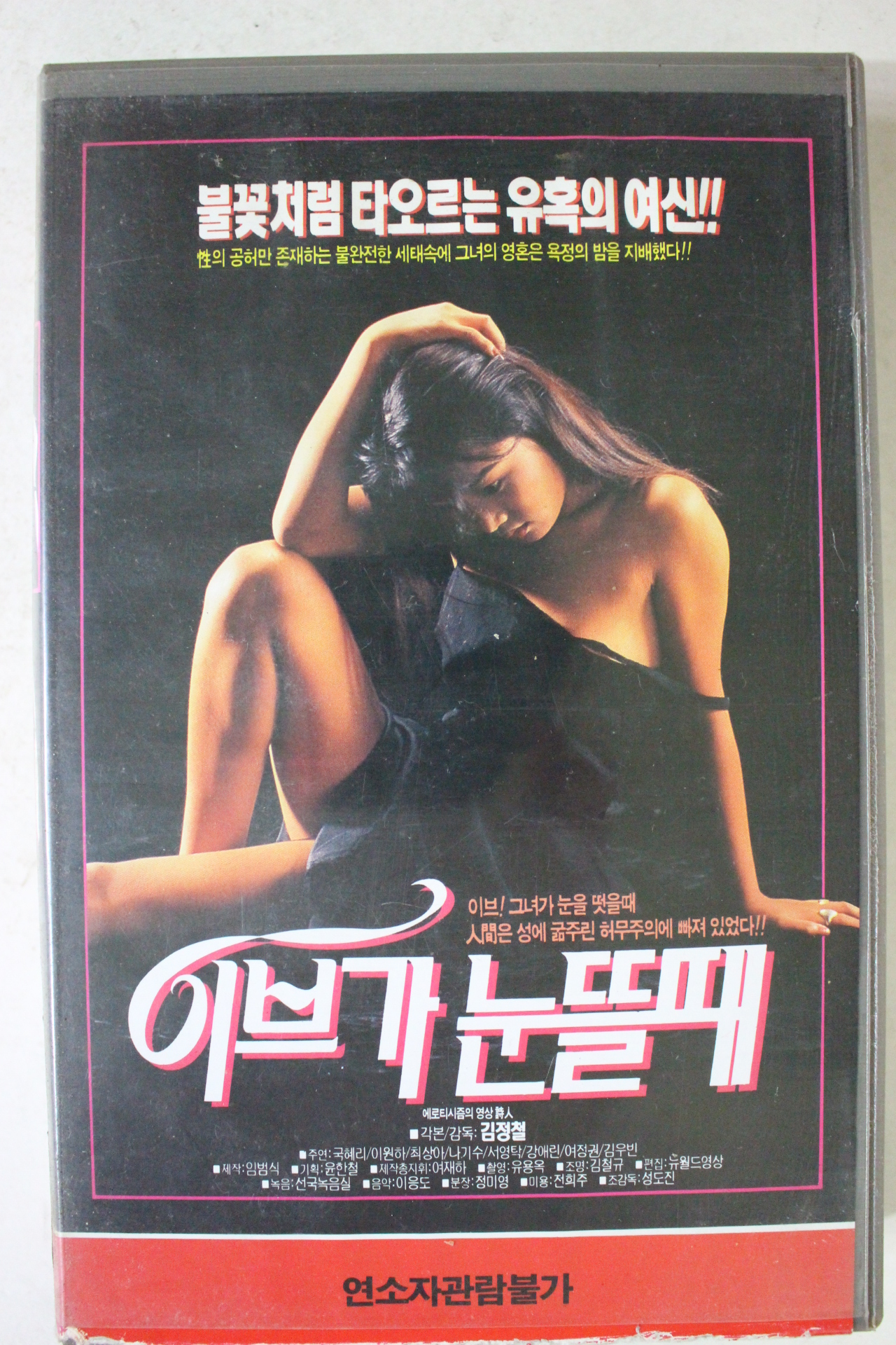 233-1993년 이브가 눈뜰때 비디오테이프