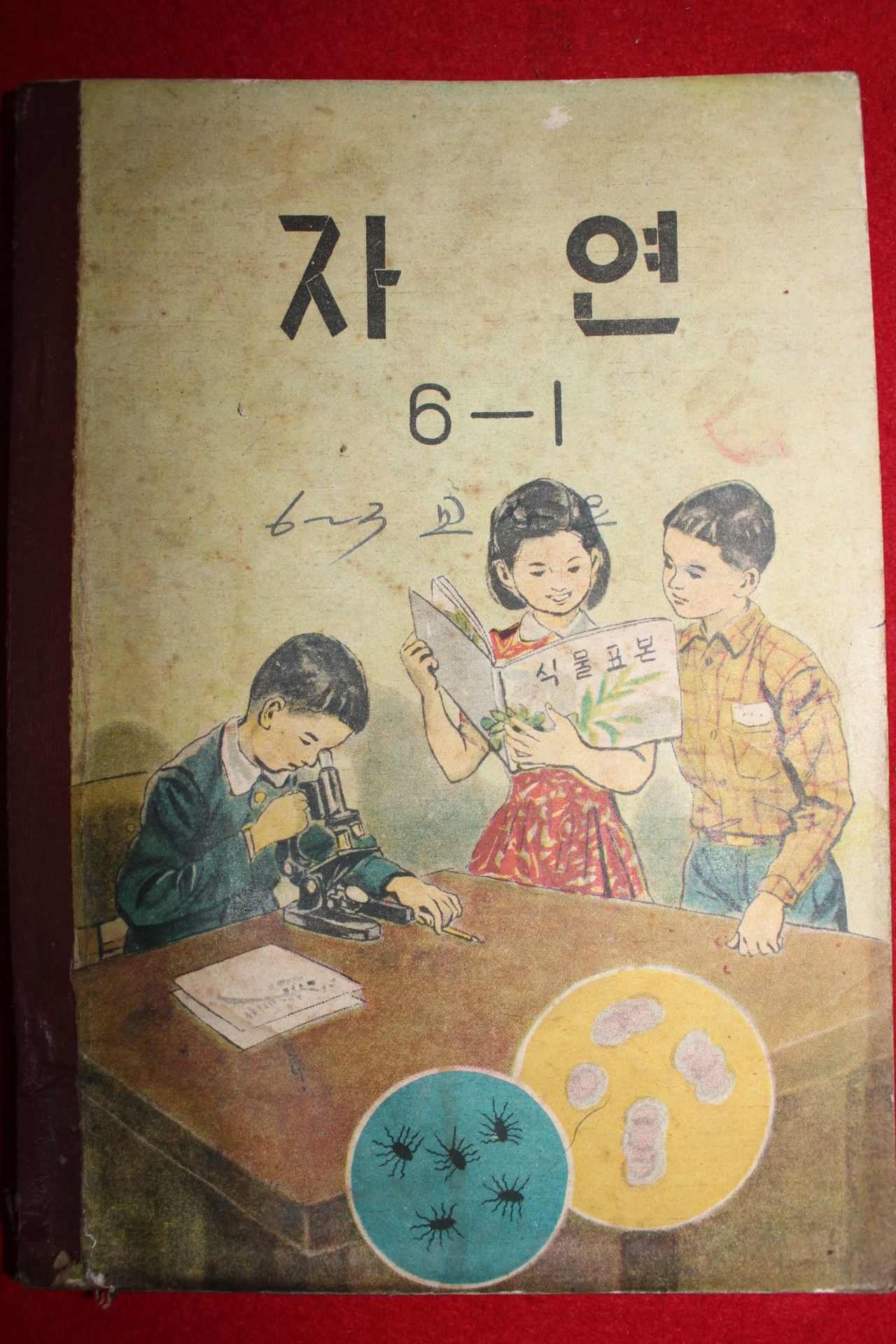 1962년 자연 6-1