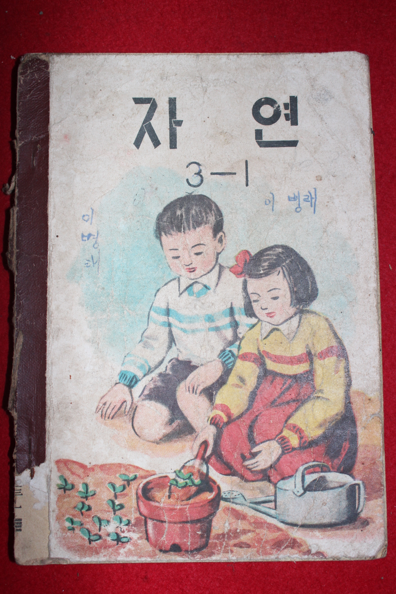 1961년 자연 3-1