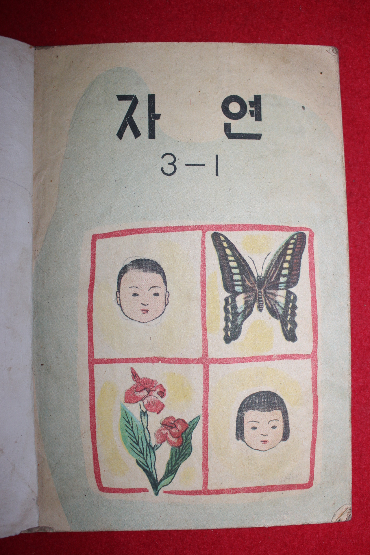 1961년 자연 3-1