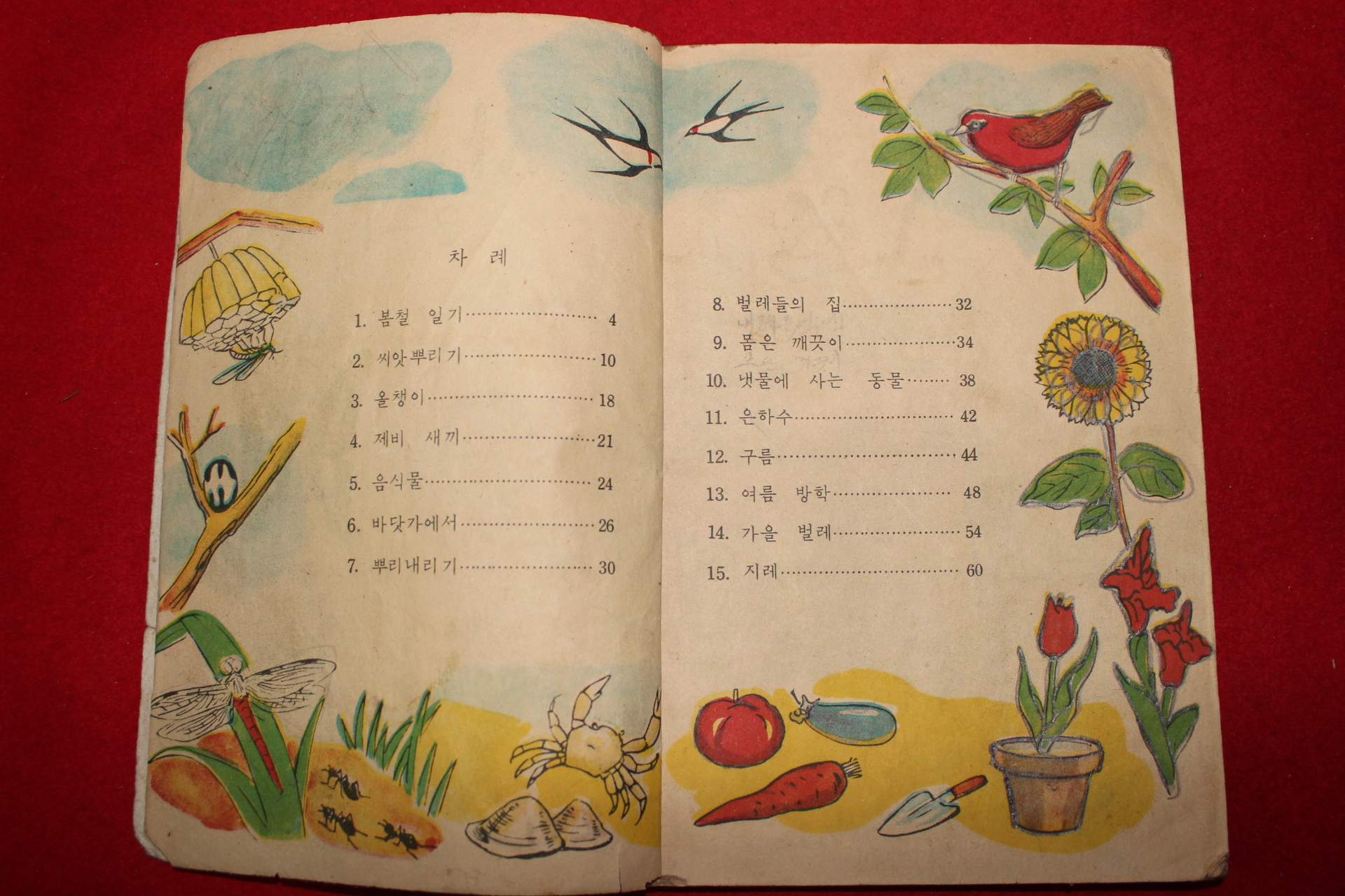 1961년 자연 3-1