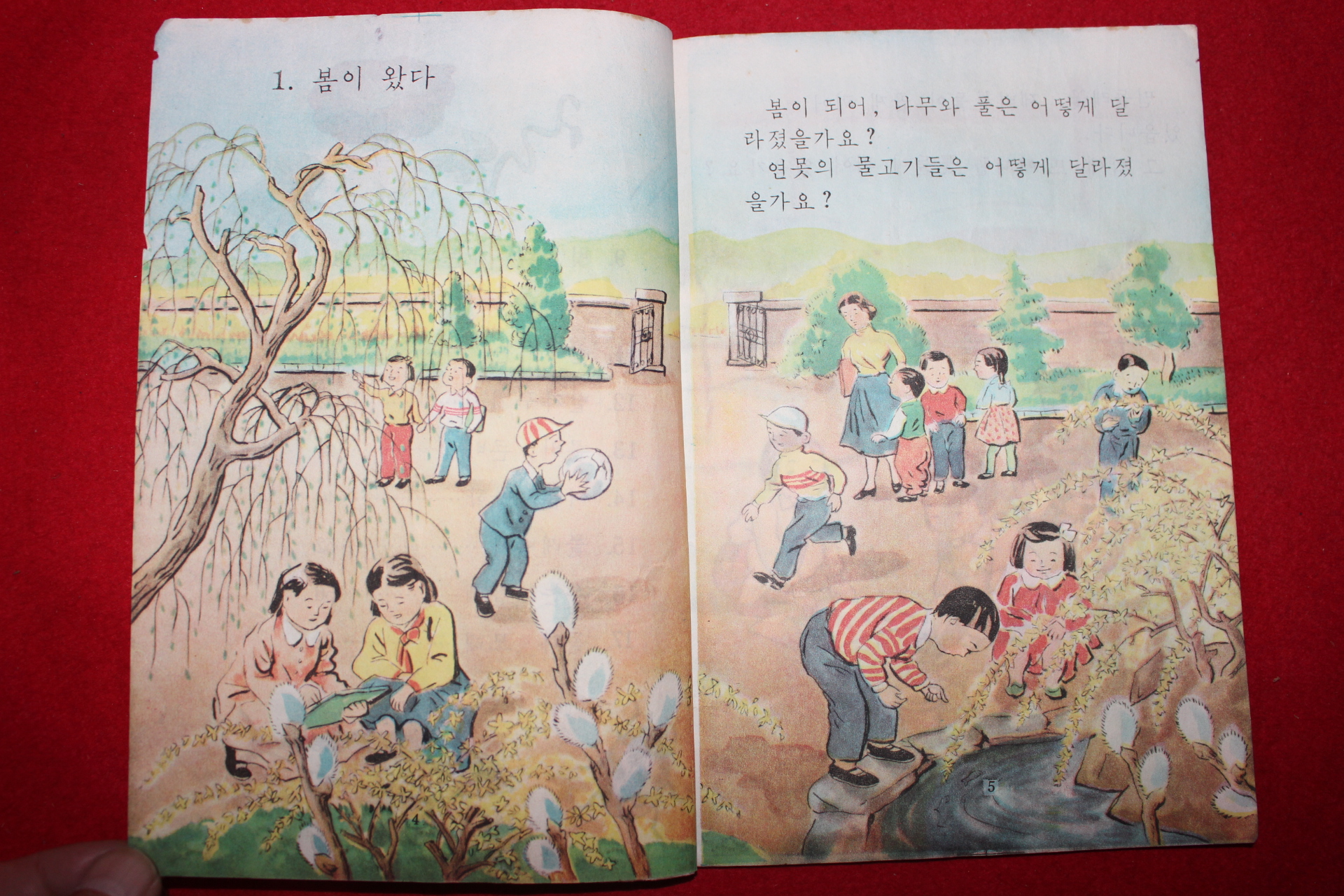 1959년 유네스코운크라교과서 자연 2-1 (참고품)