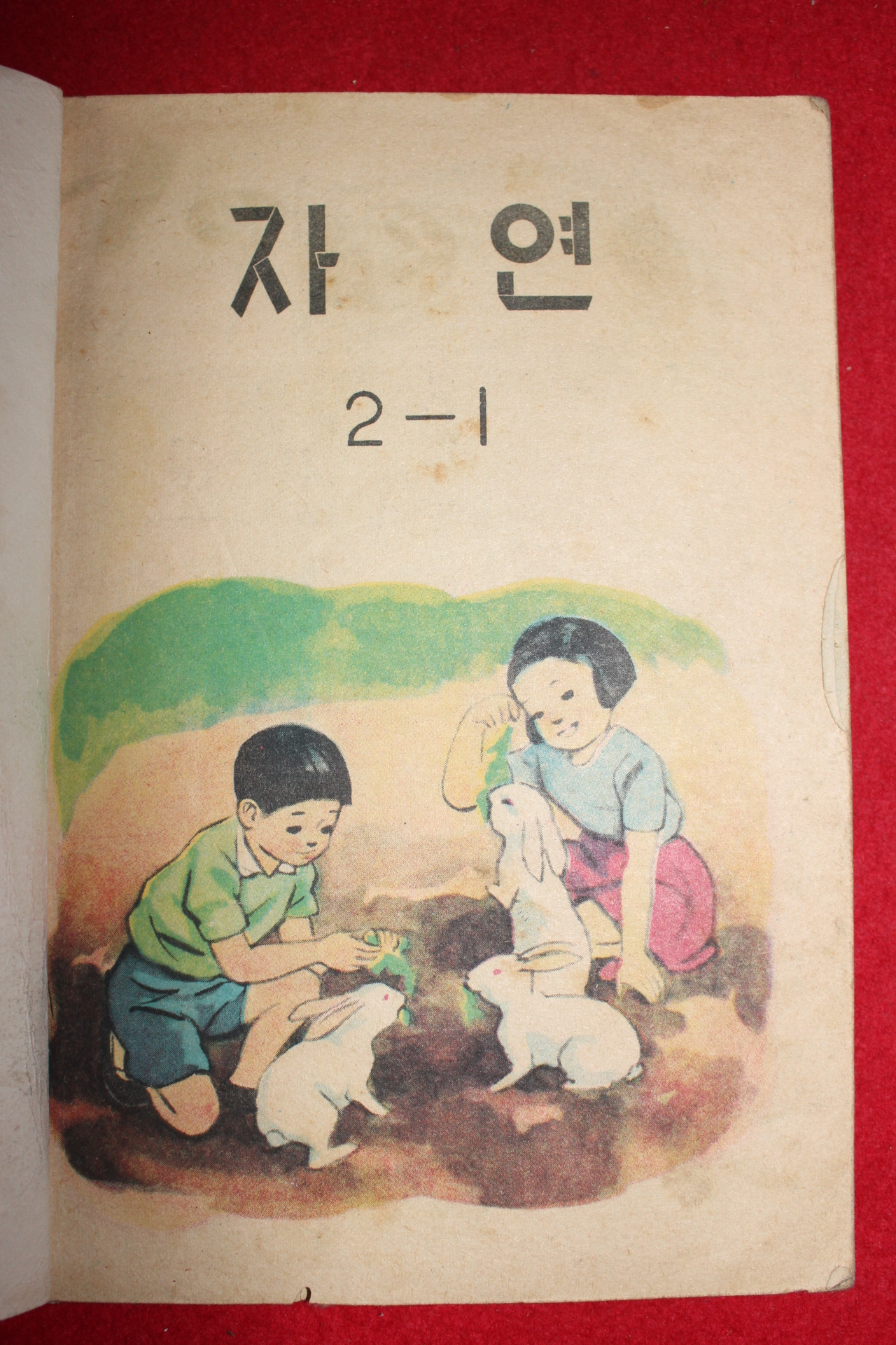 1963년 자연 2-1