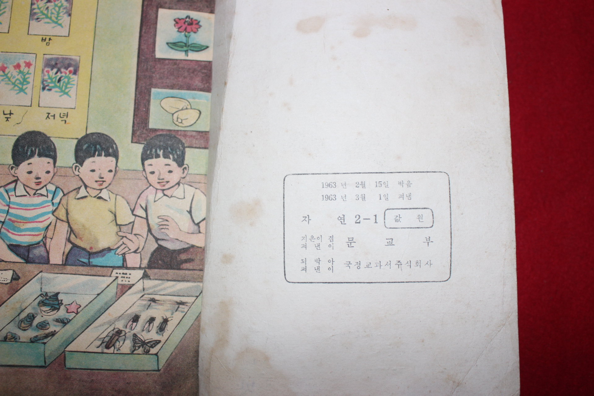 1963년 자연 2-1