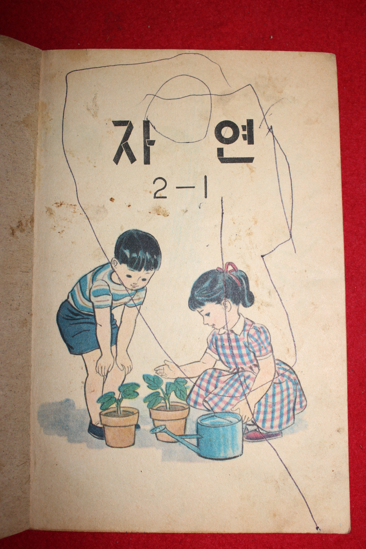 1970년 자연 2-1