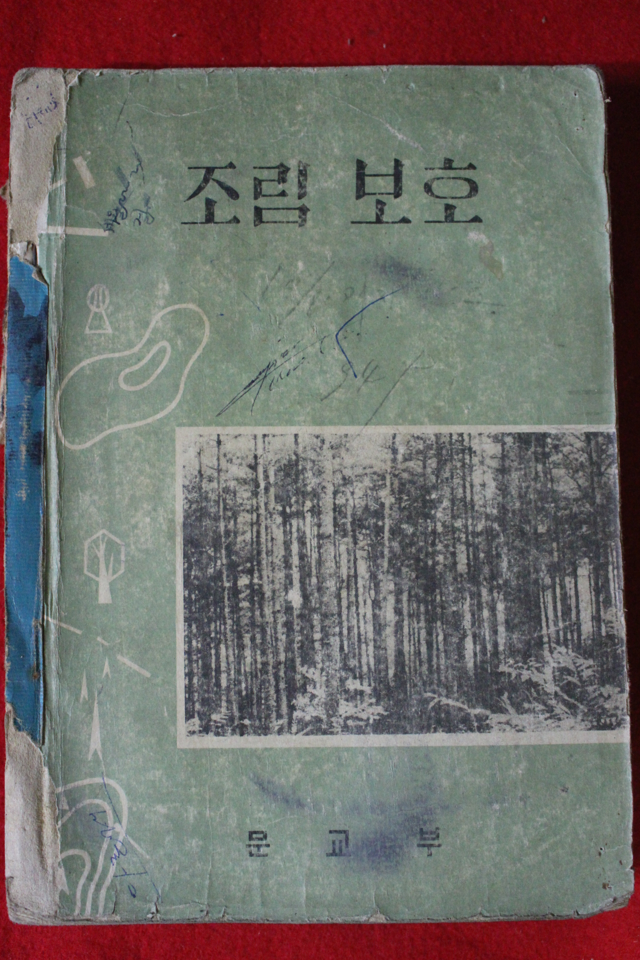 1960년대 조림보호