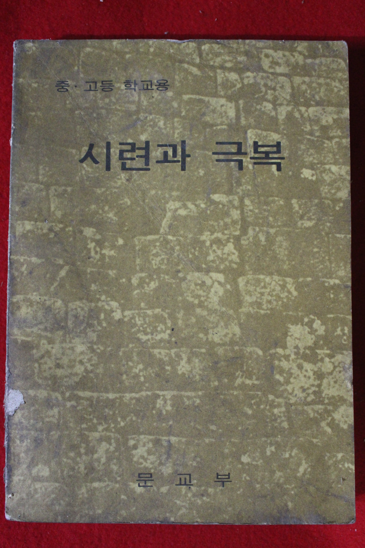 1978년 중고등학교용 시련과 극복