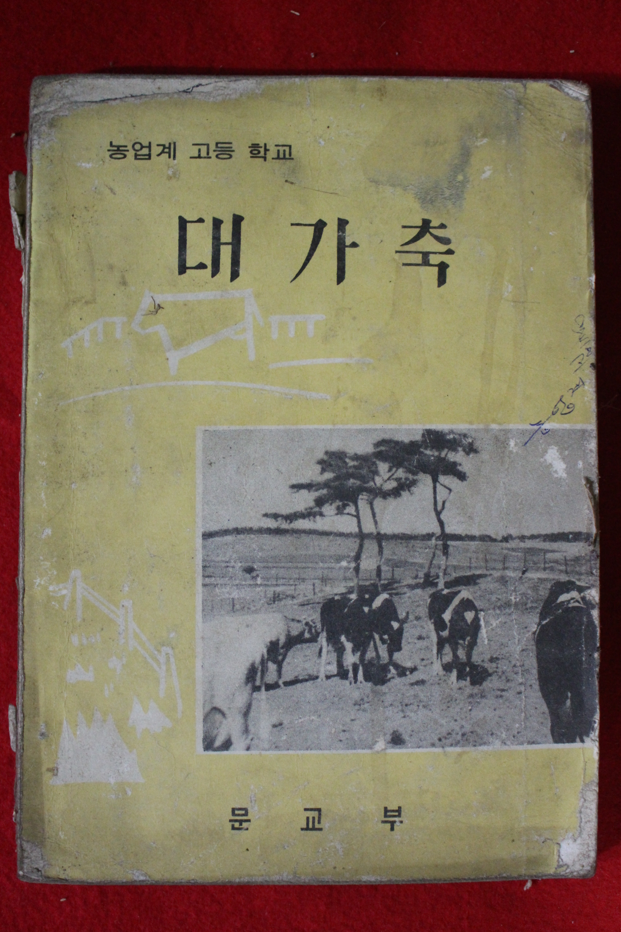 1968년 고등학교 대가축