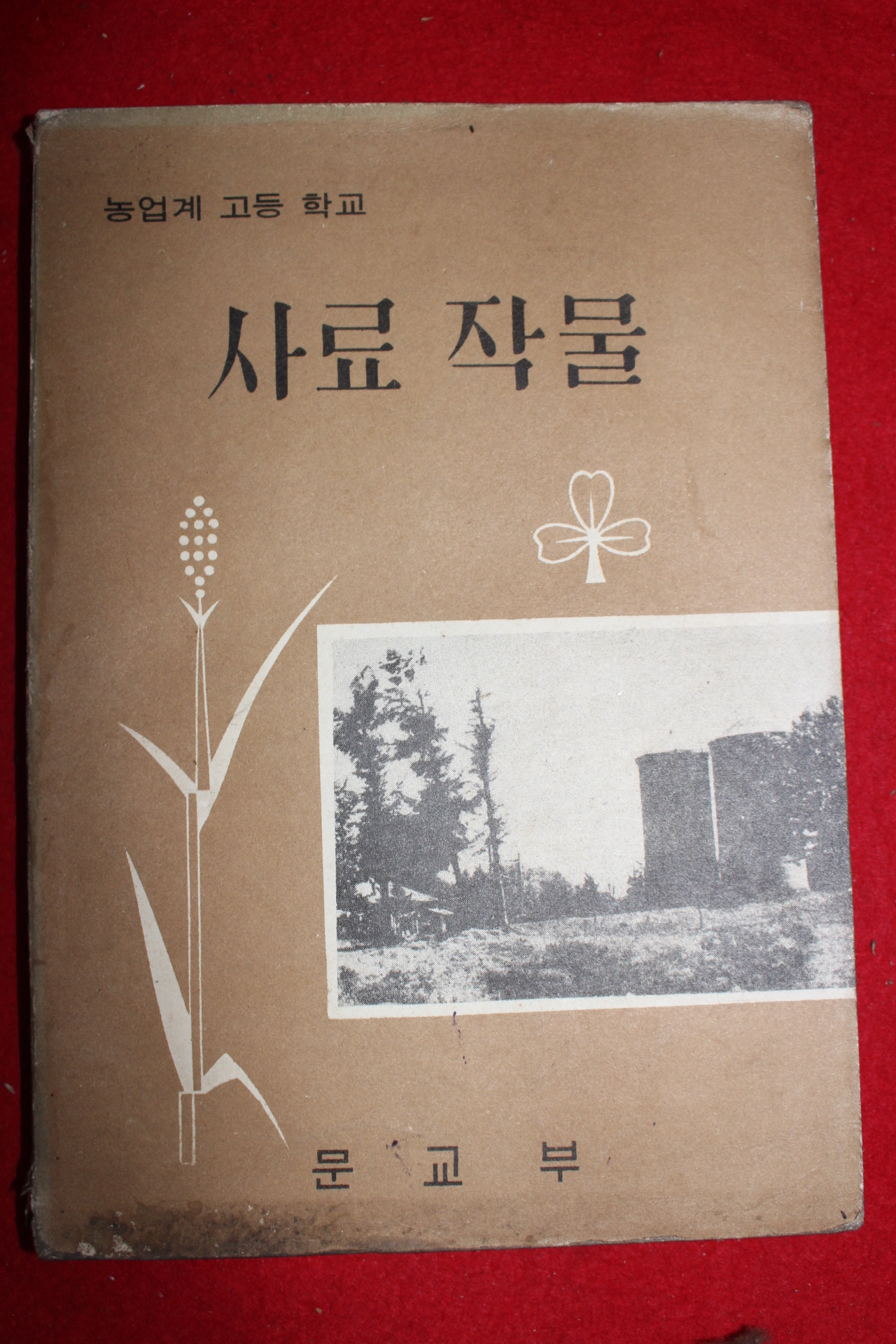 1968년 고등학교 사료작물