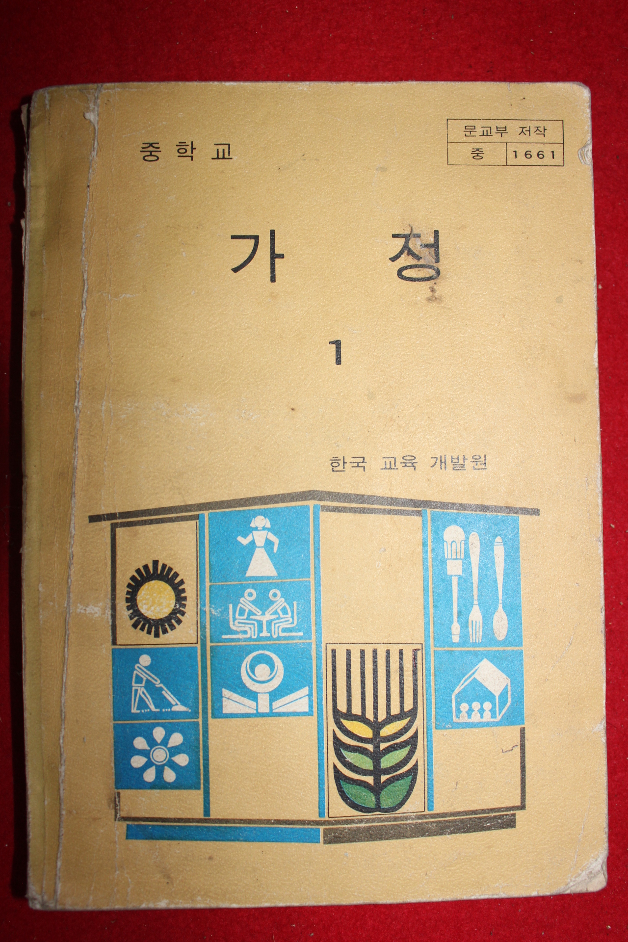 1980년 중학교 가정 1