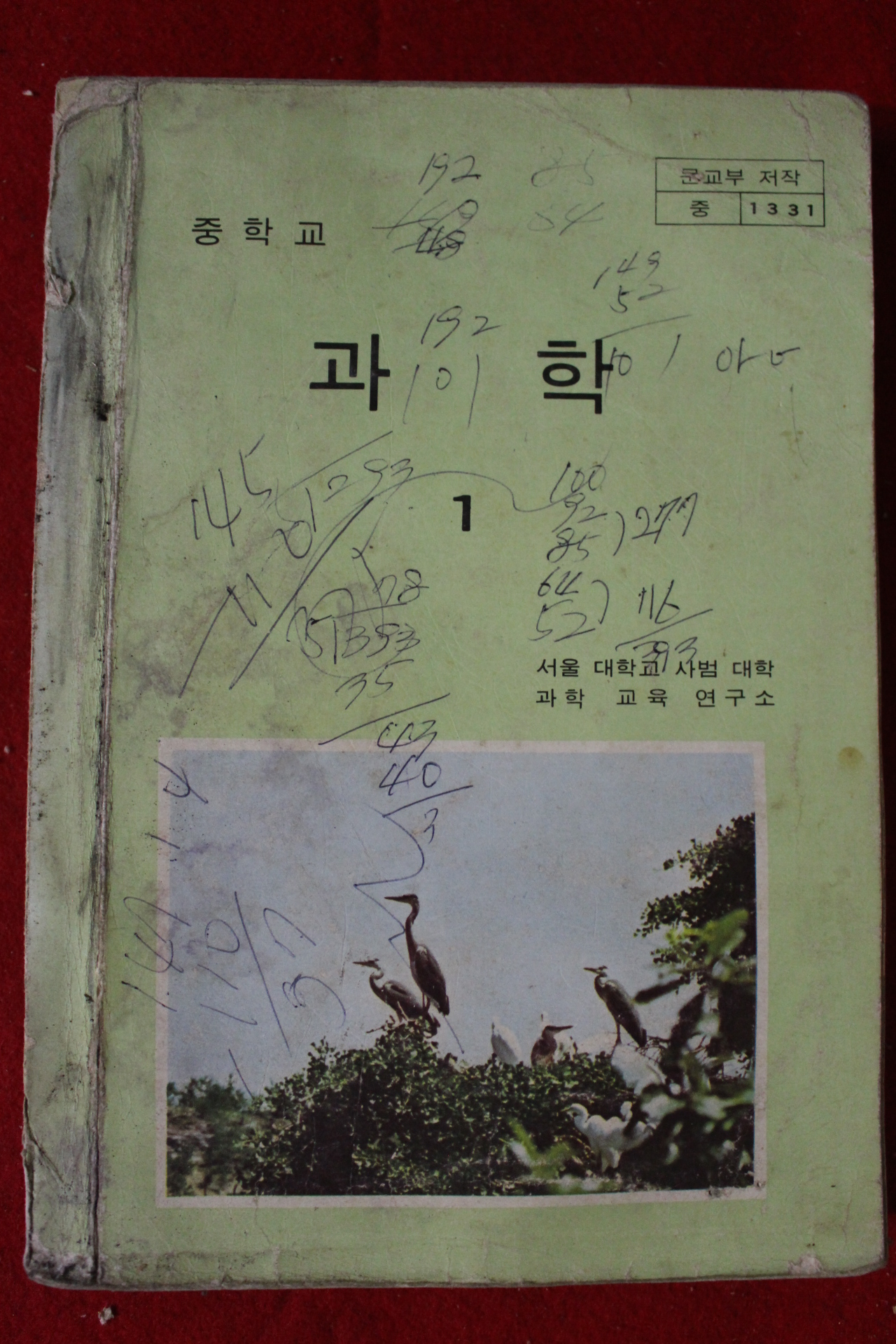 1982년 중학교 과학 1