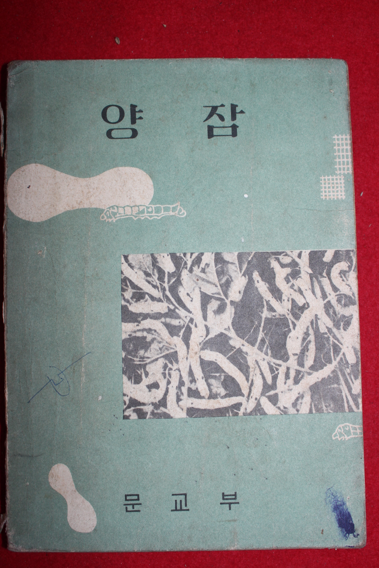 1970년 양잠