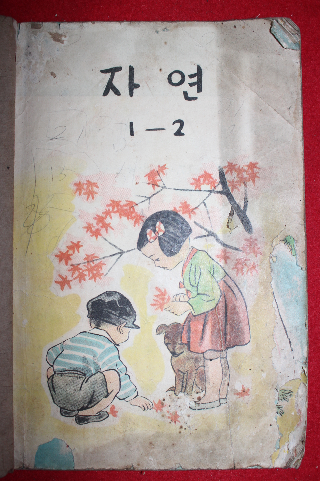 1950년대 칼라판 자연 1-2 (참고품)