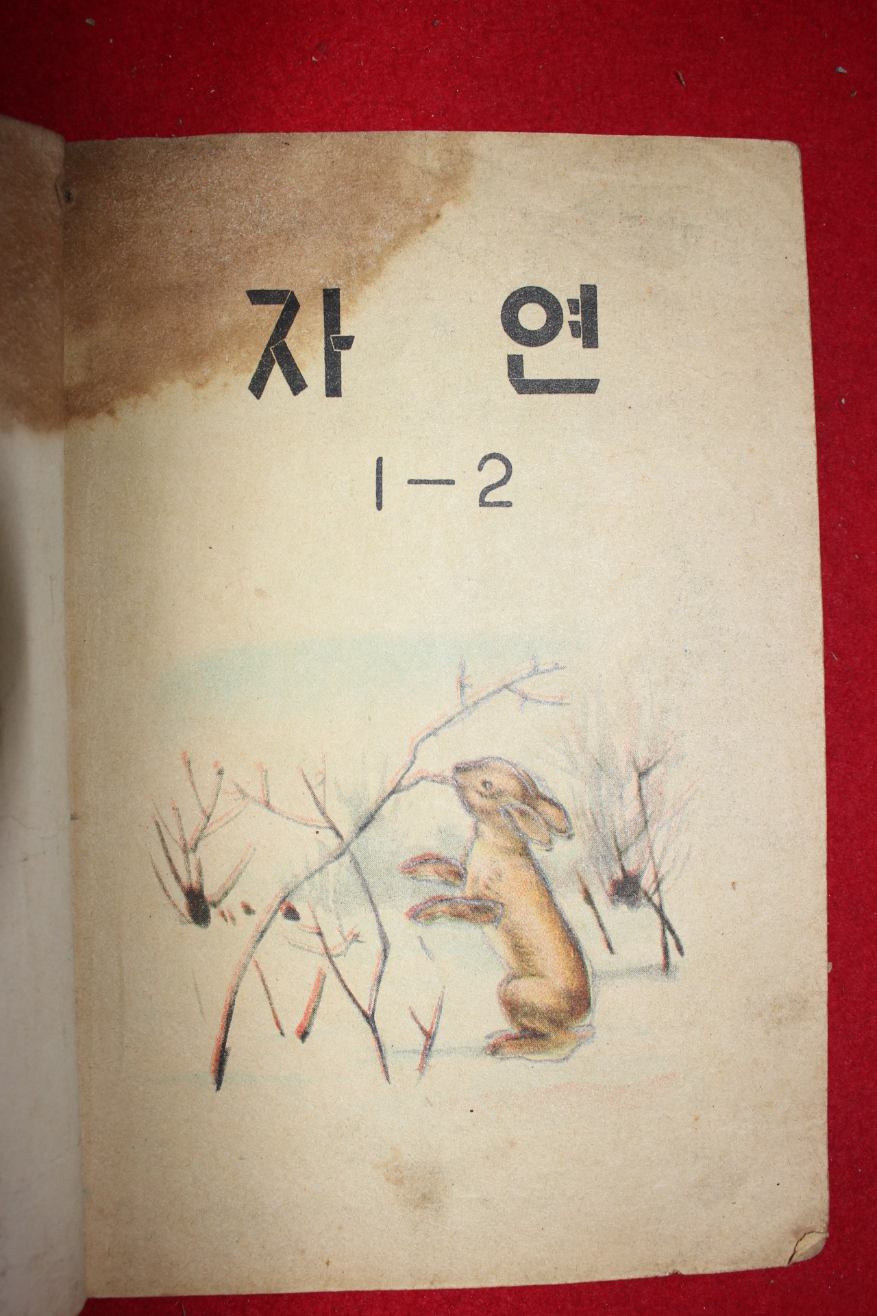 1959년 자연 1-2