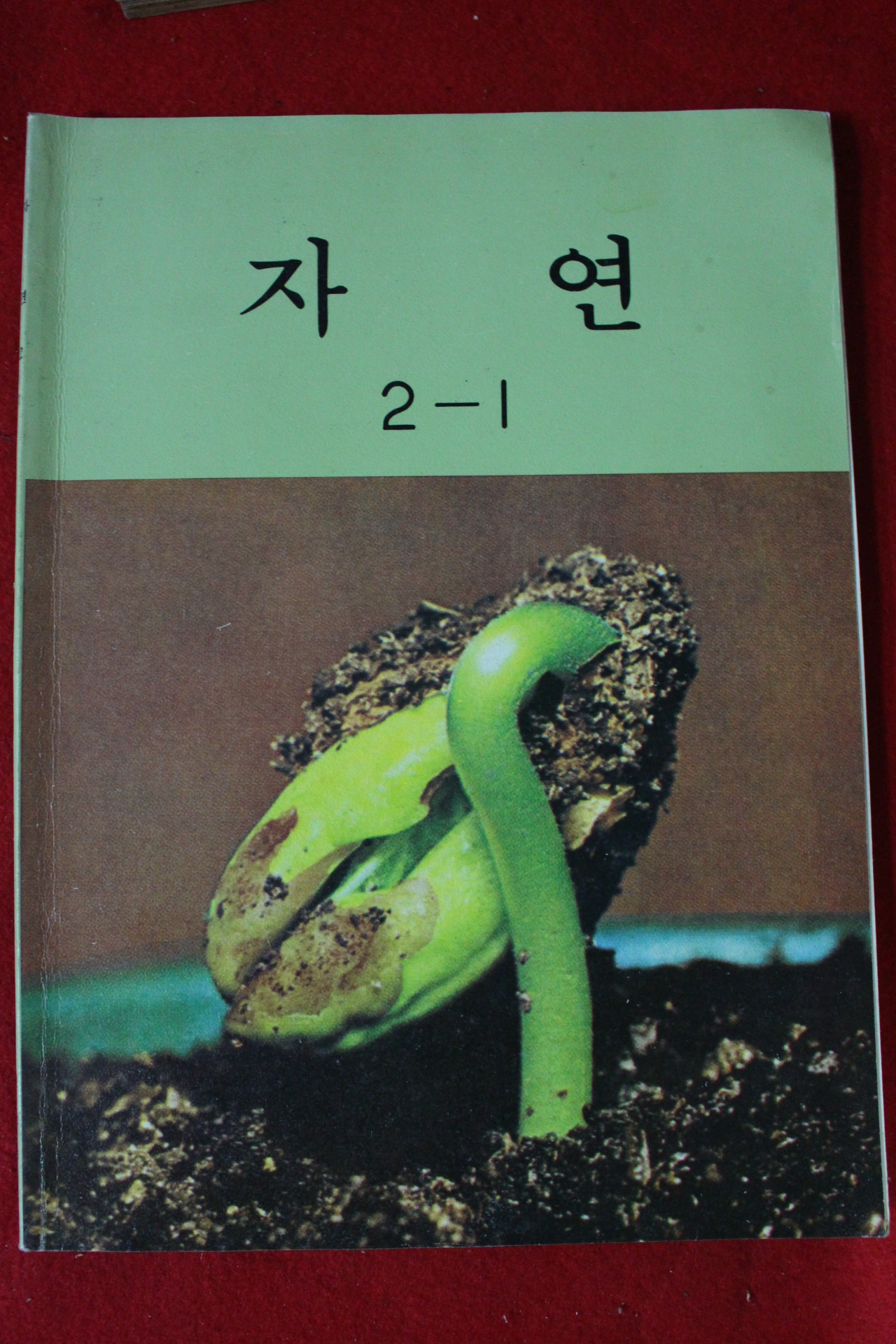 1983년 자연 2-1