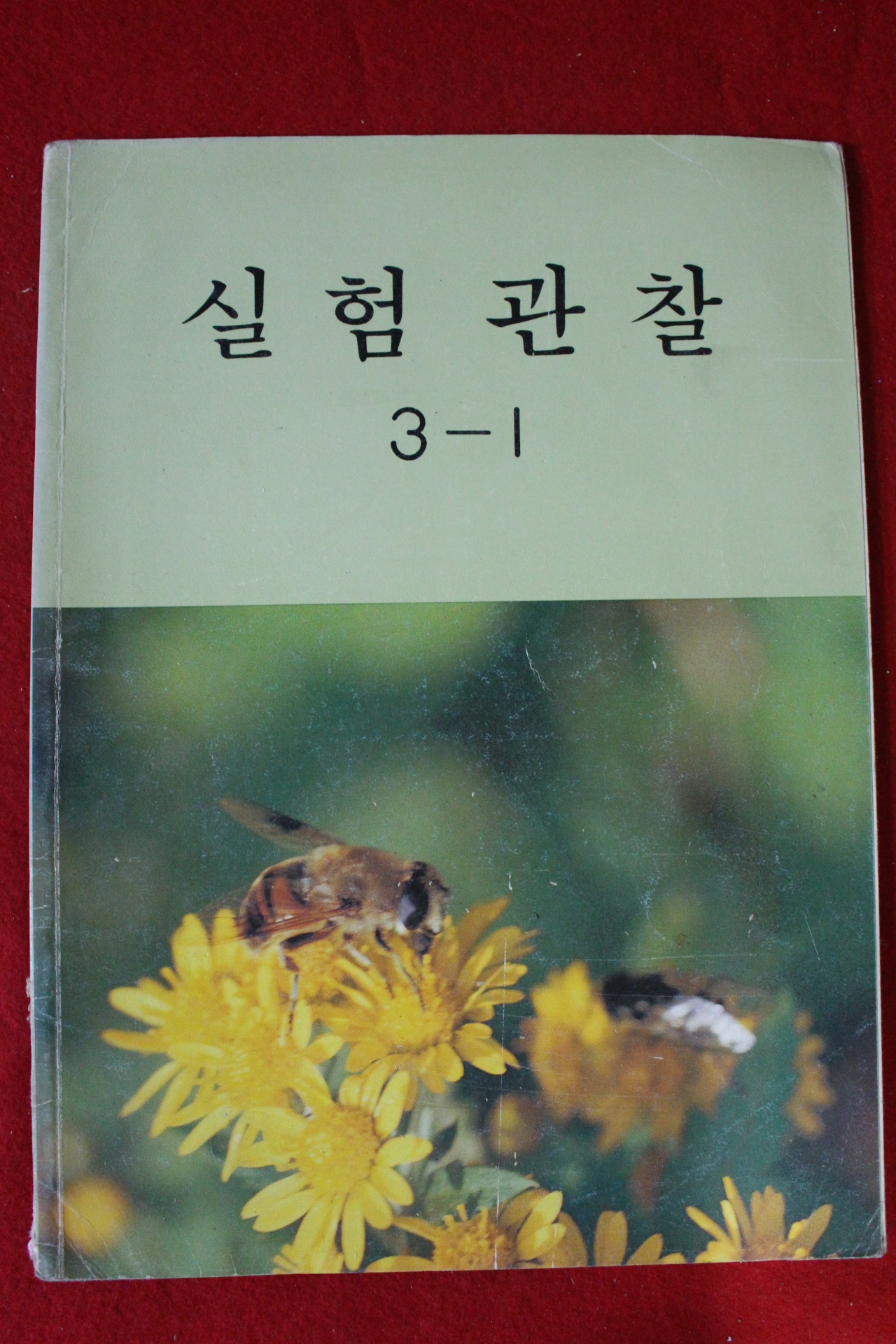 1989년 실험관찰 3-1