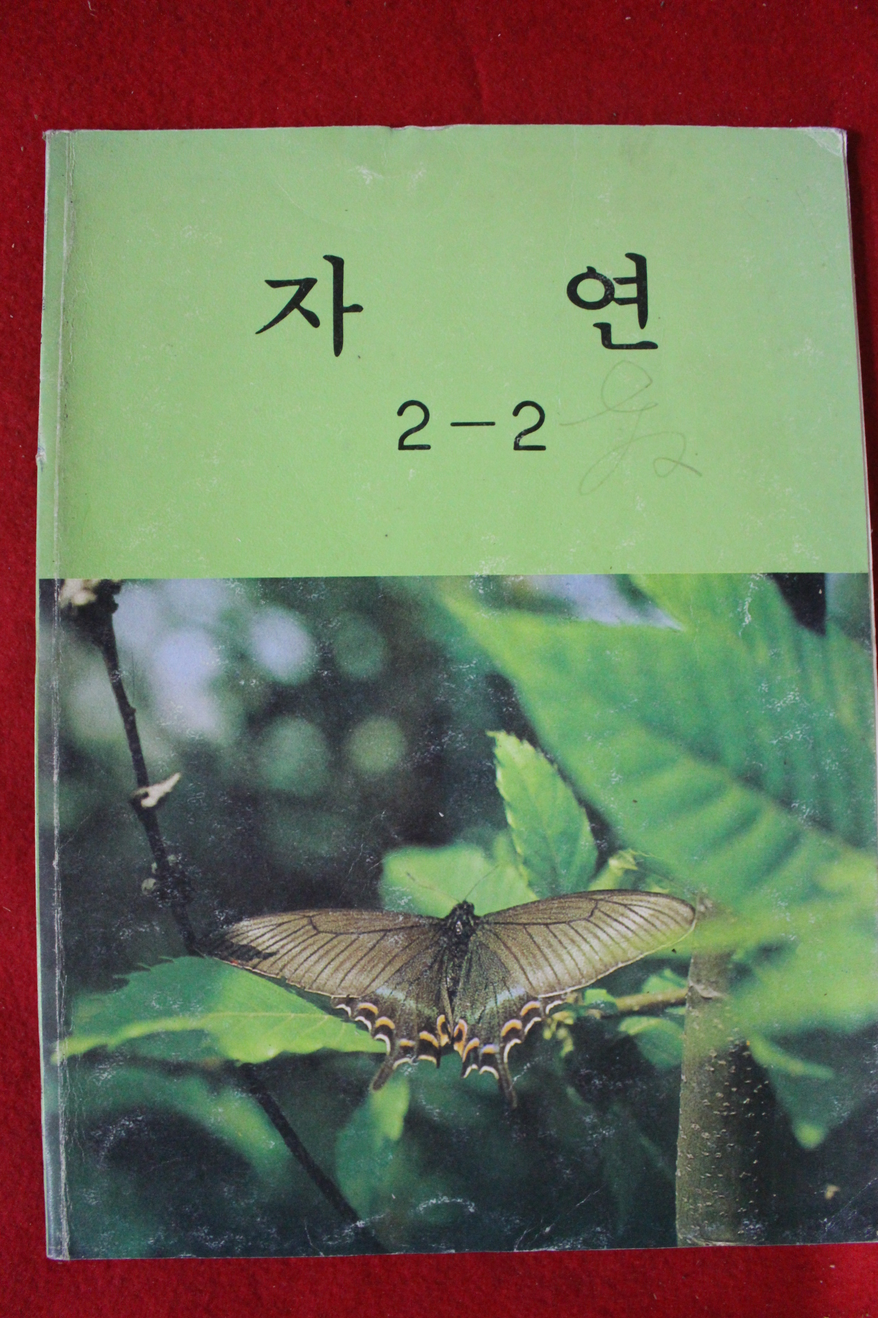 1988년 자연 2-2