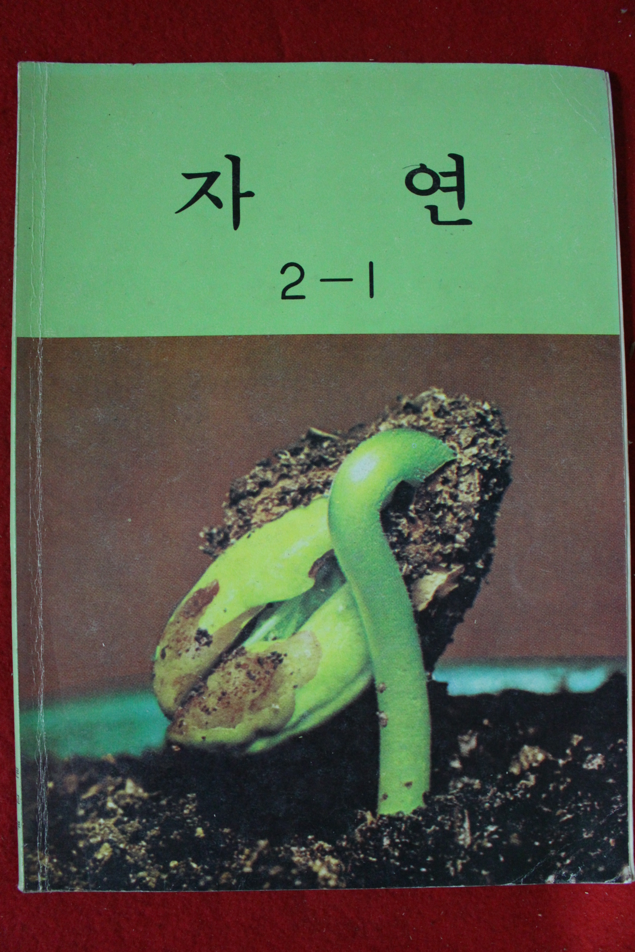 1988년 자연 2-1