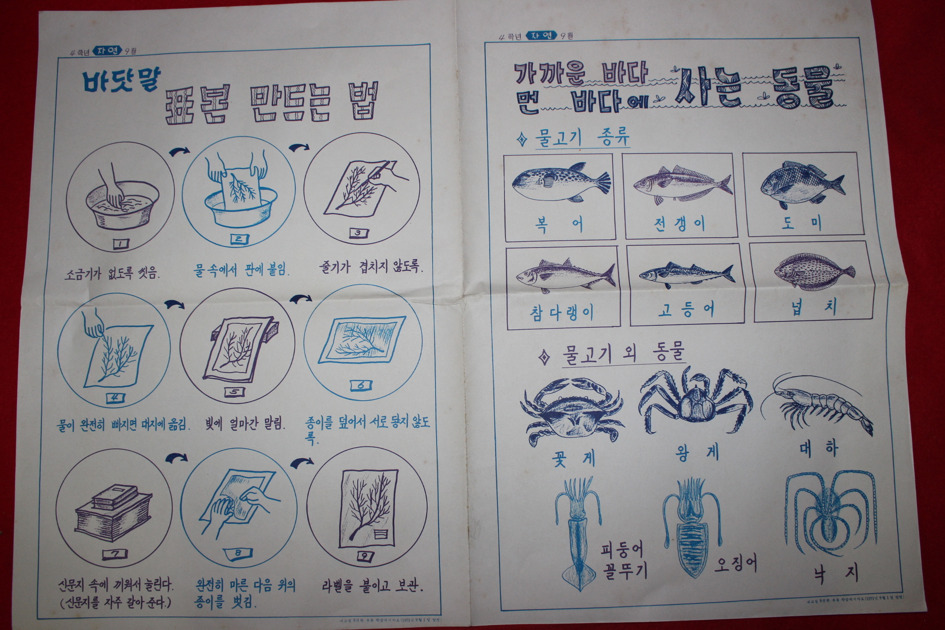 1971년 국민학교 학습게시자료 화보