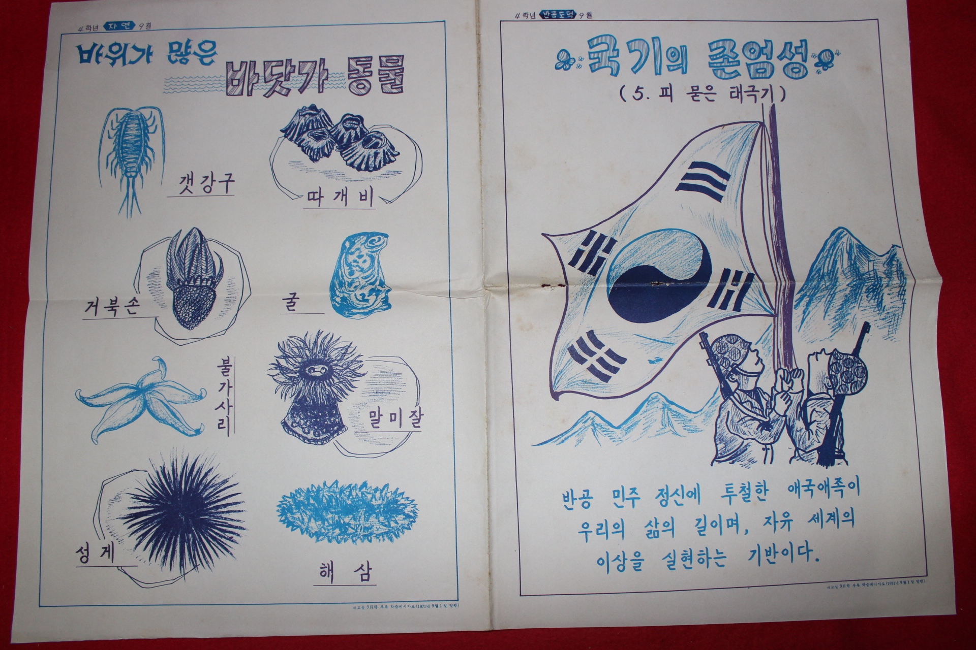 1971년 국민학교 학습게시자료 화보