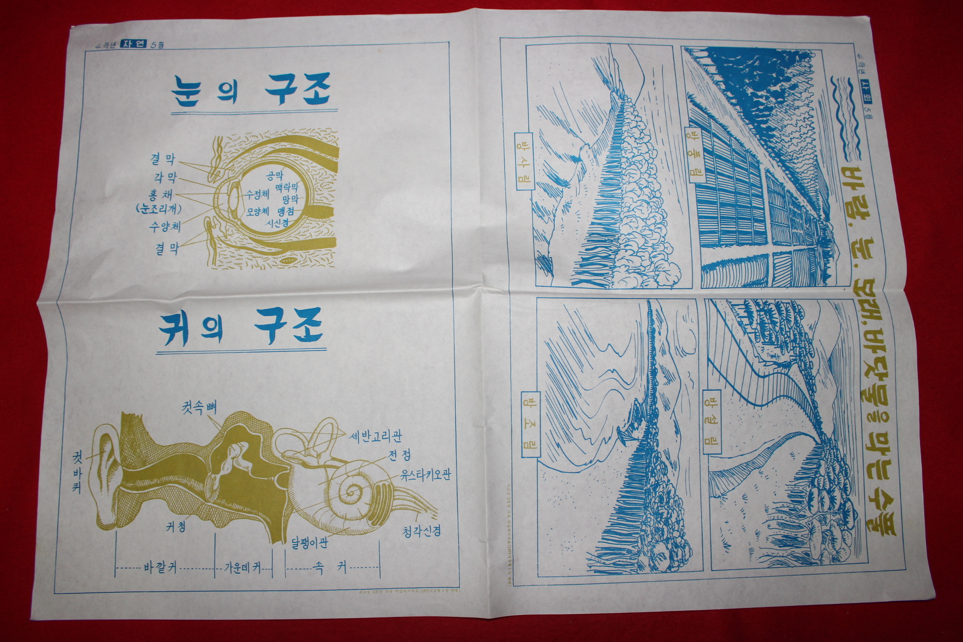 1971년 국민학교 학습게시자료 화보