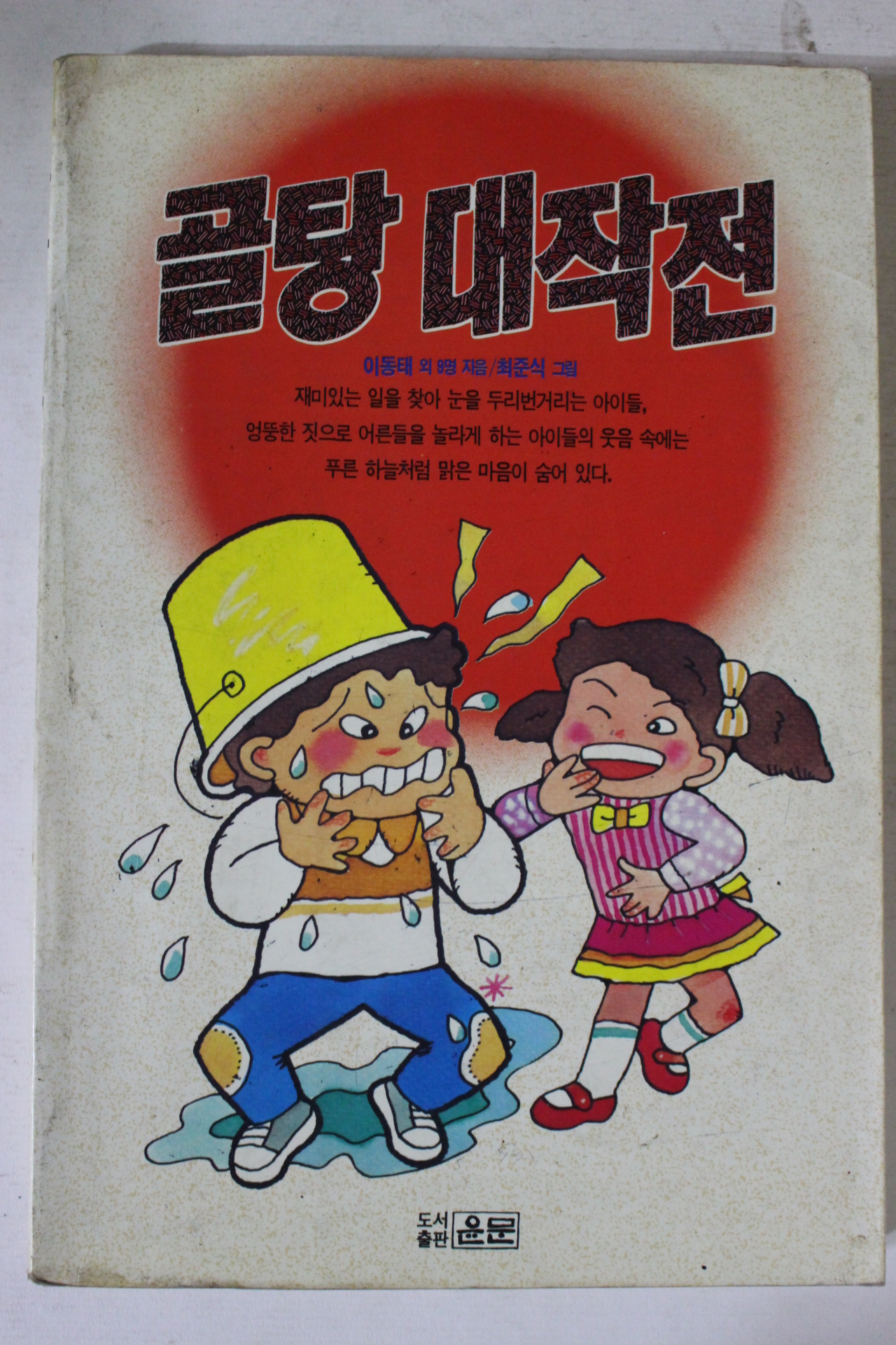 1991년 골탕대작전