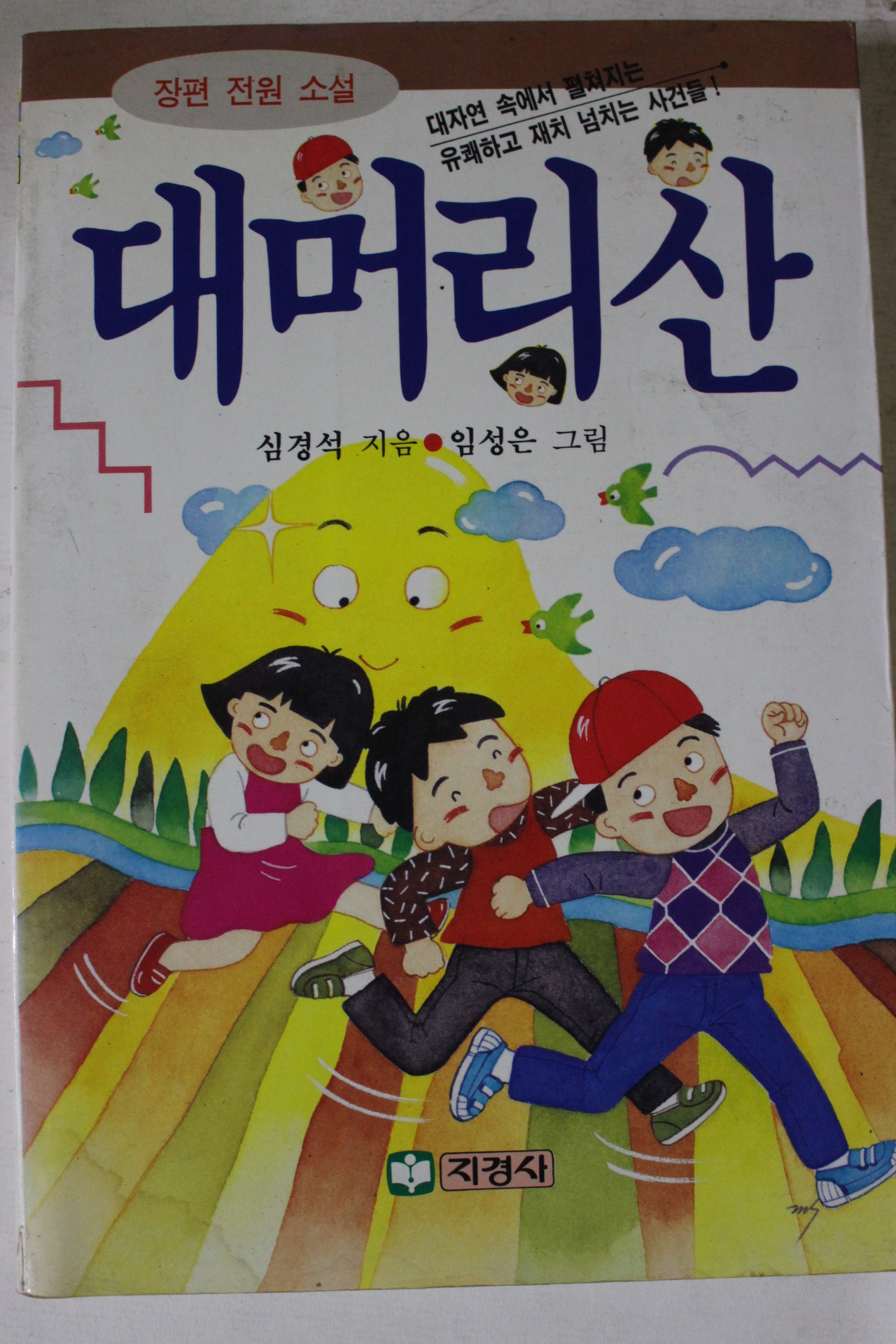 1992년 장편전원소설 대머리산