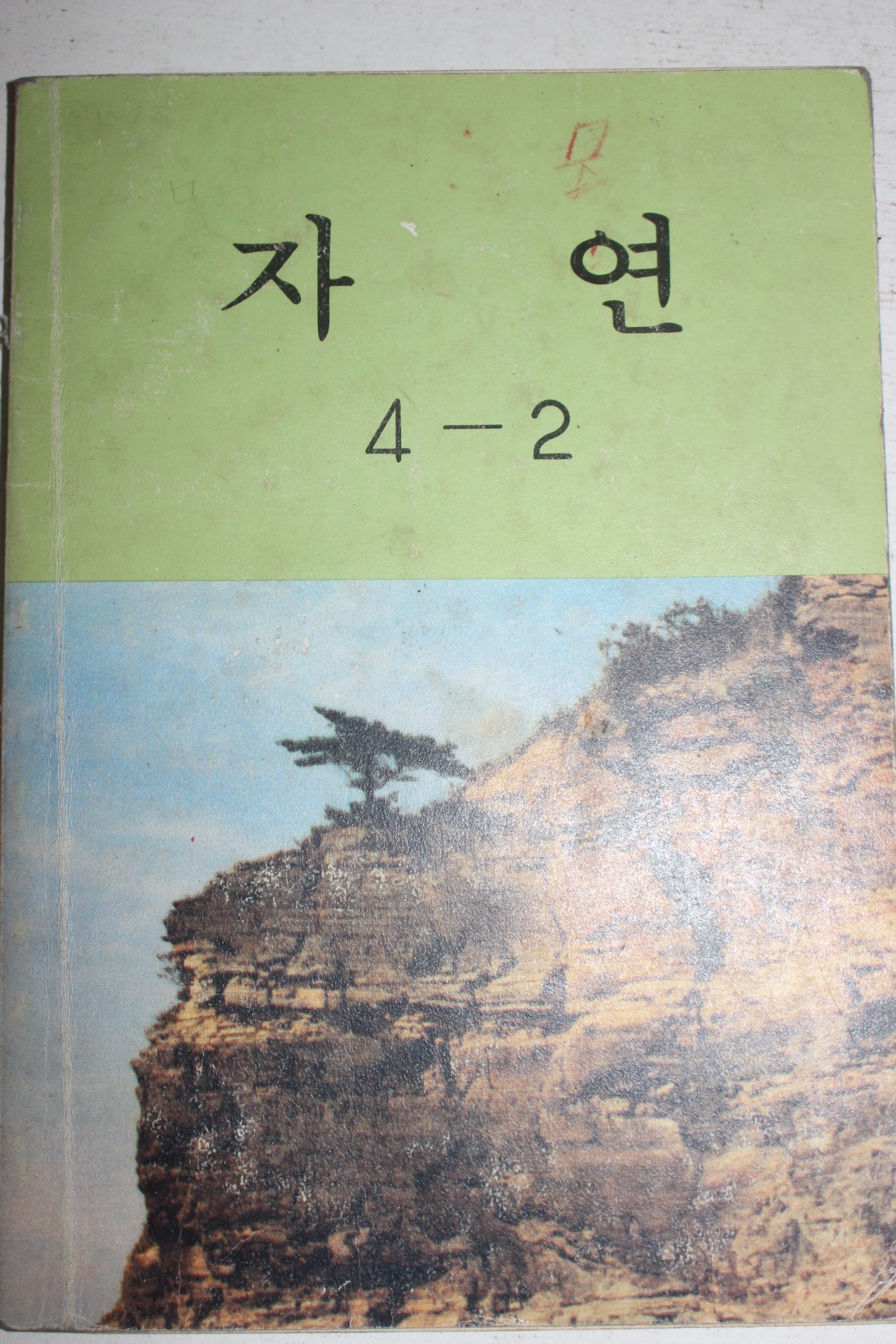 1984년 자연 4-2