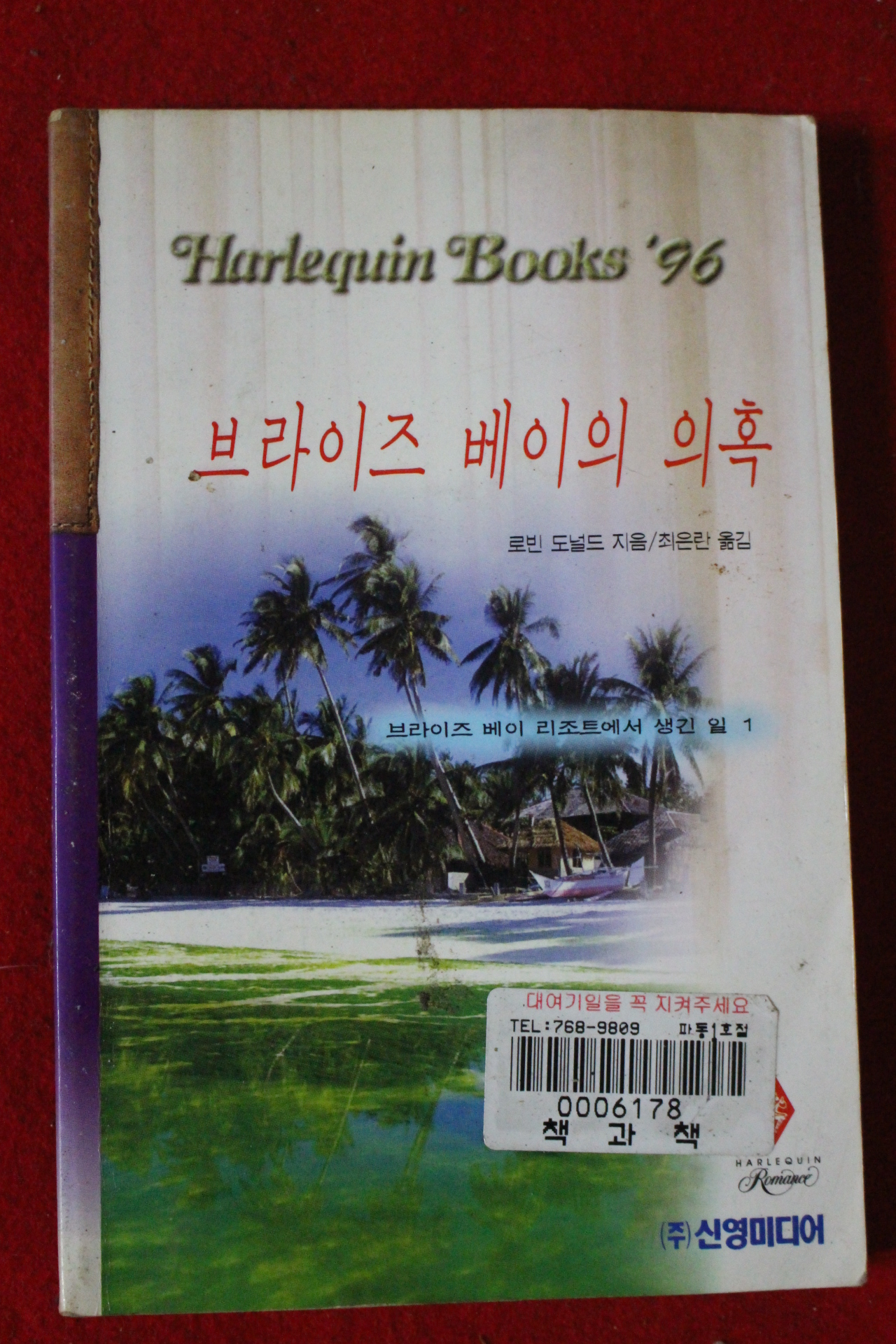 1996년 로빈 도널드 브라이즈 베이의 의혹