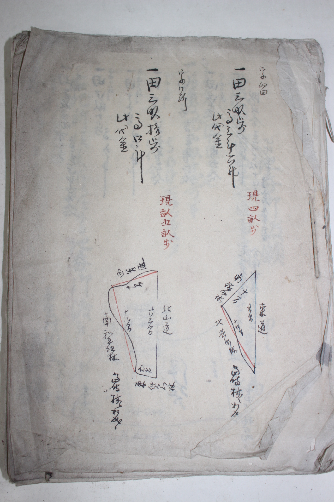 에도시기 필사본 지적관련문서