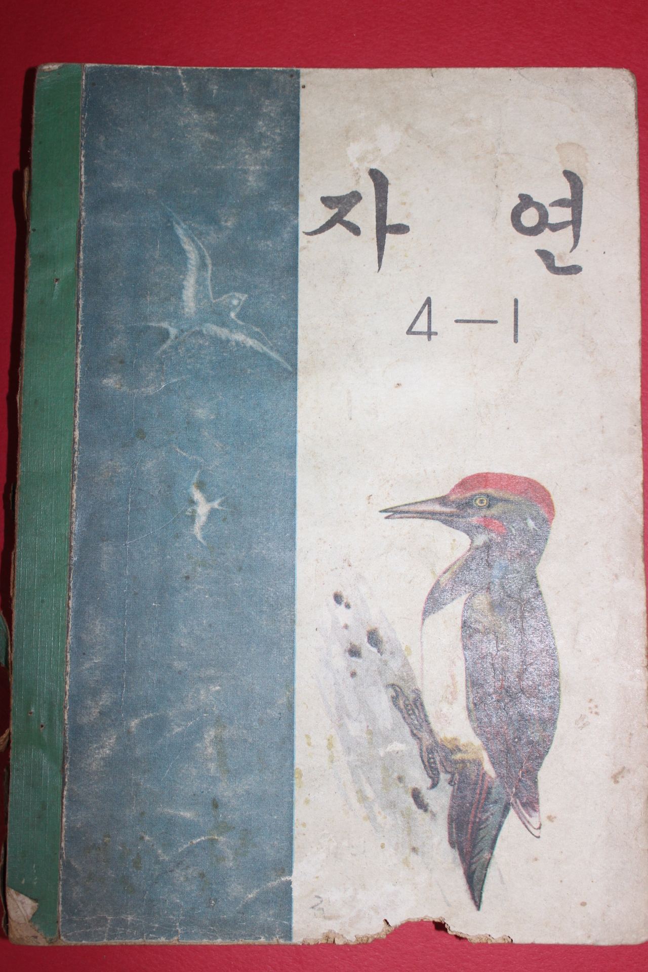 1973년 자연 4-1