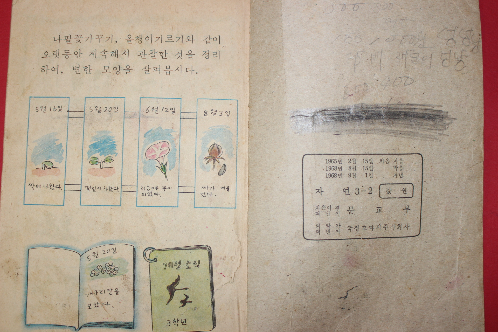 1968년 자연 3-2