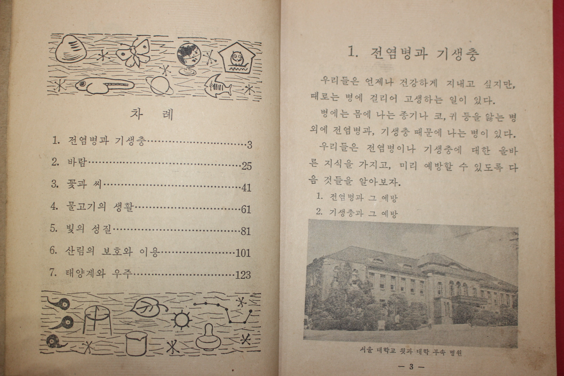 1973년 자연 5-1