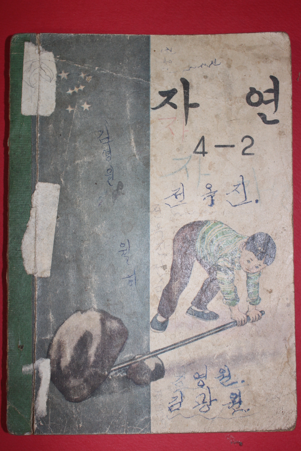 1965년 자연 4-2