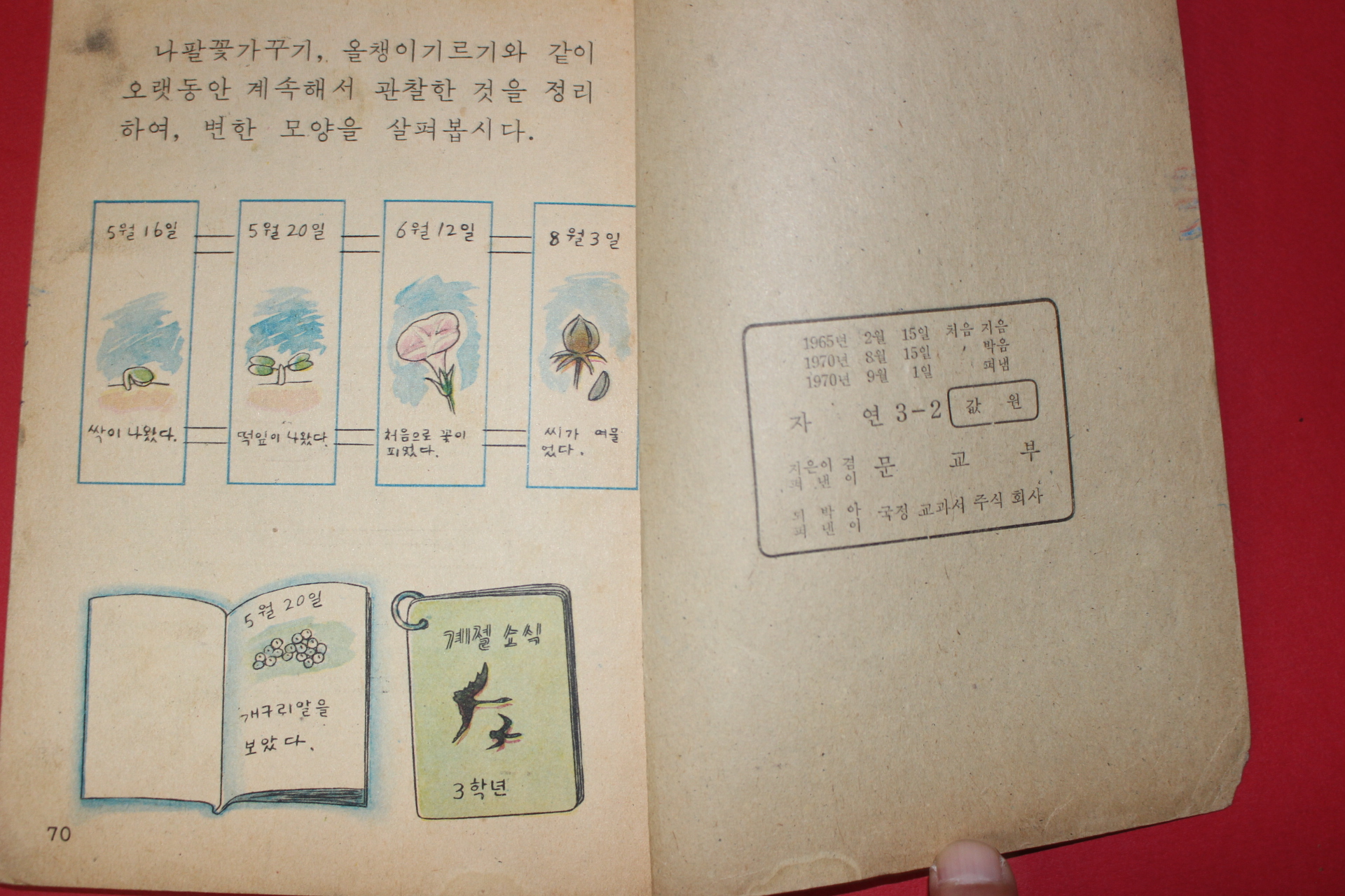 1970년 자연 3-2