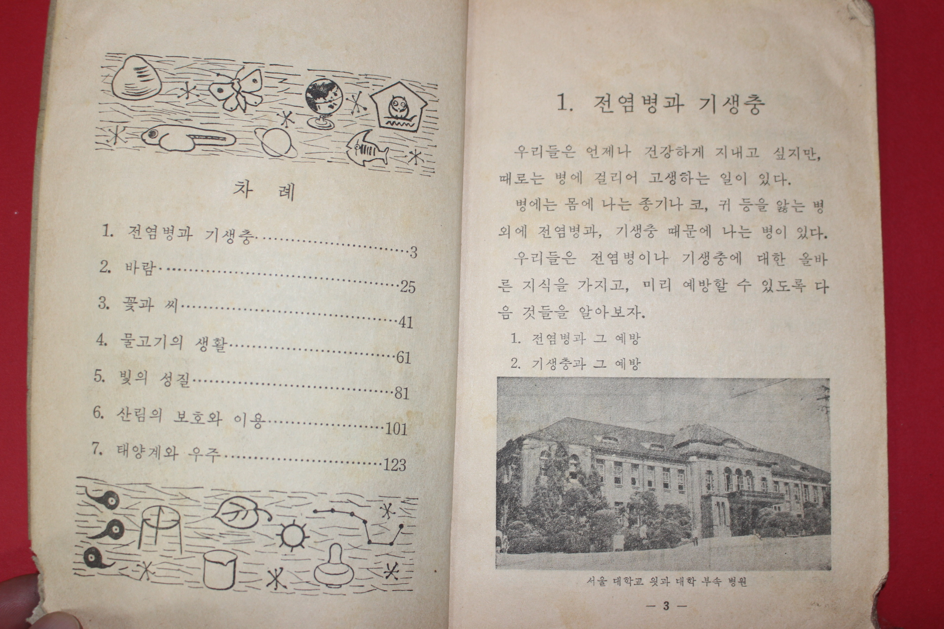 1969년 자연 5-1