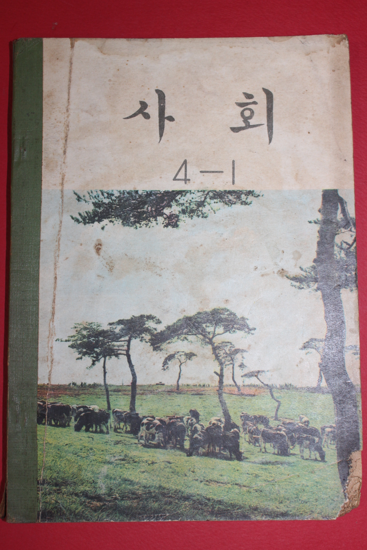 1972년 사회 4-1