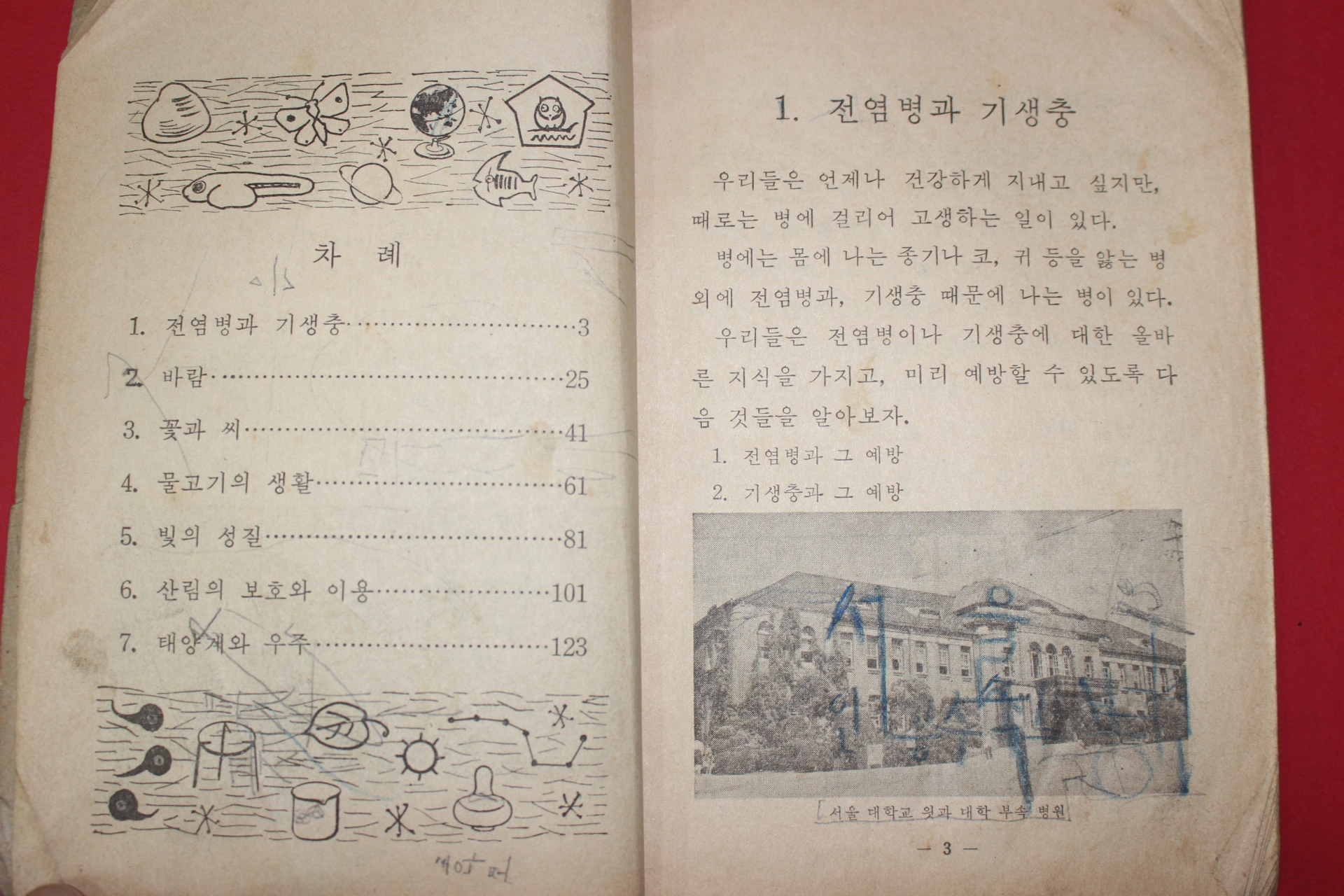 1969년 자연 5-1