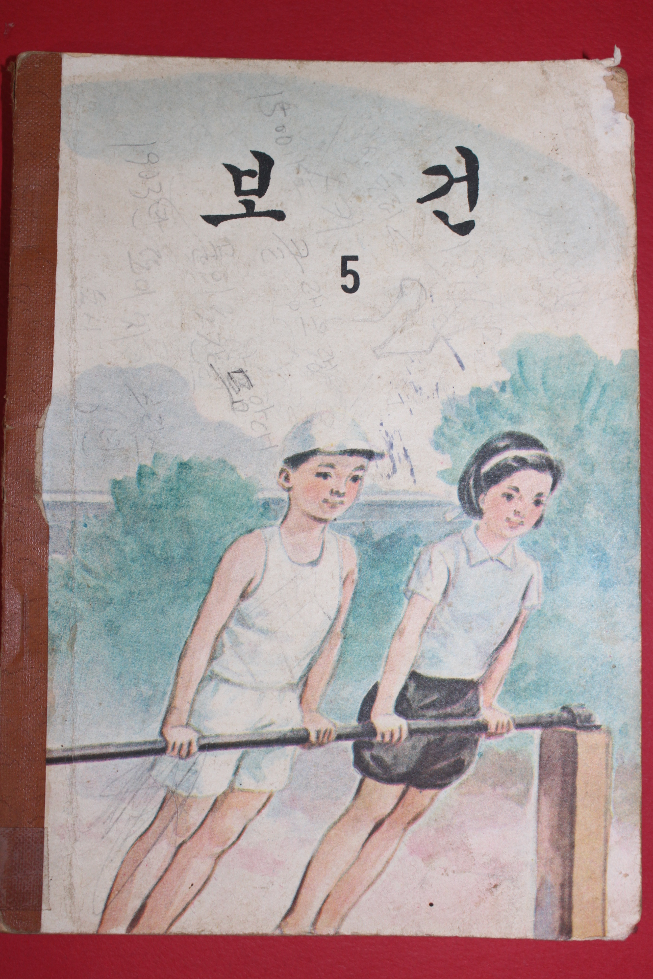 1963년 보건 5