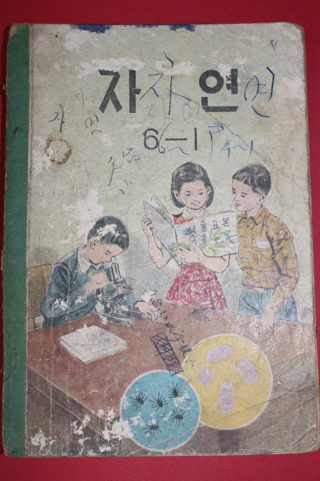 1964년 자연 6-1