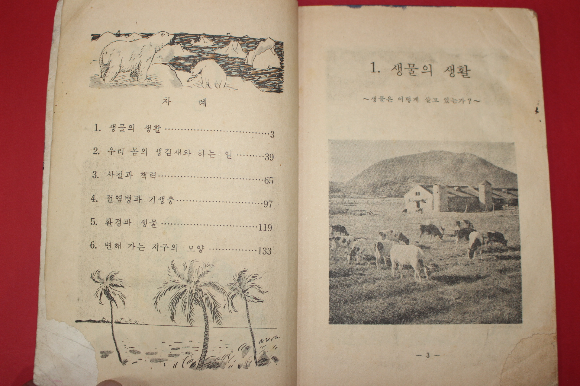 1964년 자연 6-1