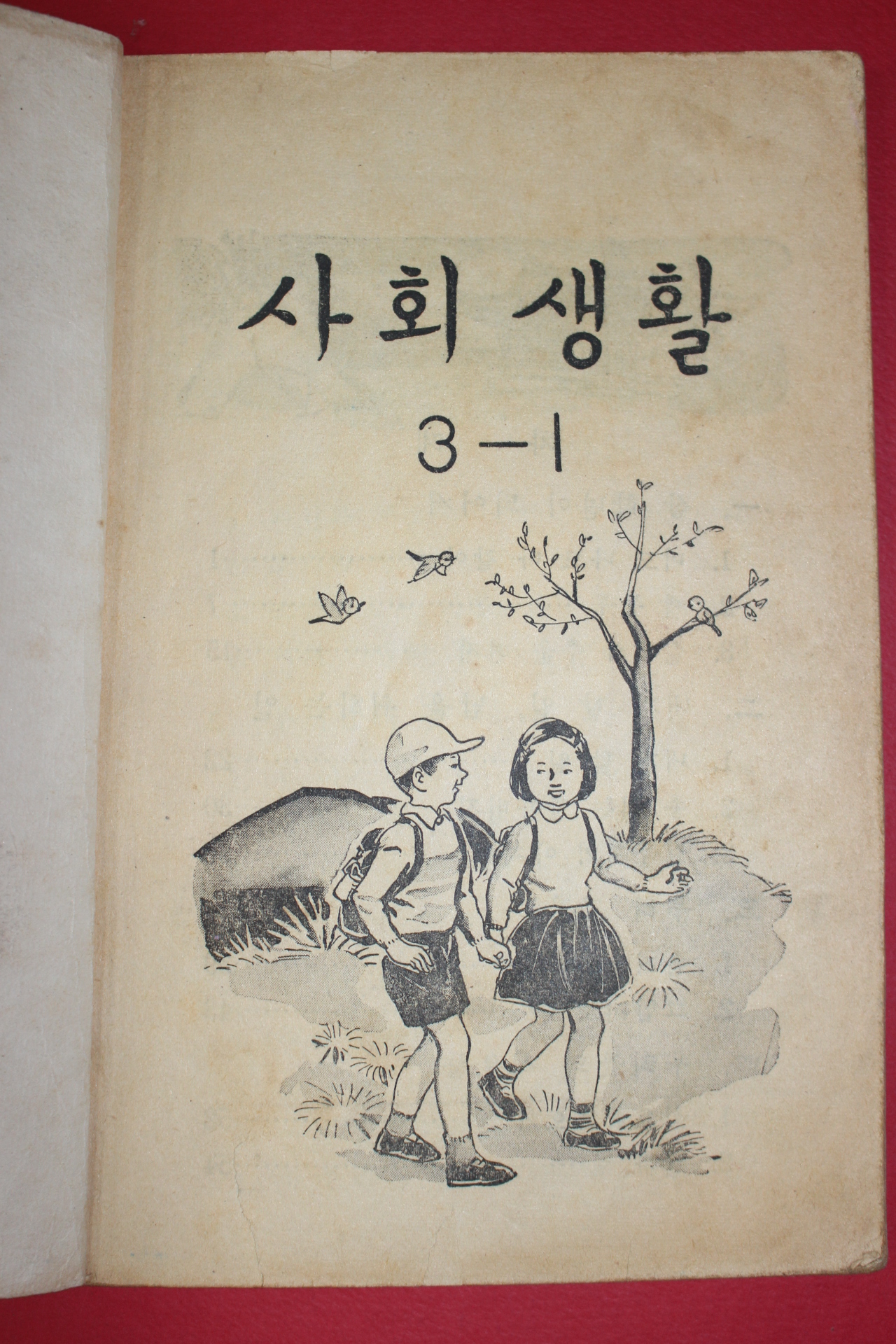 1964년 사회생활 3-1