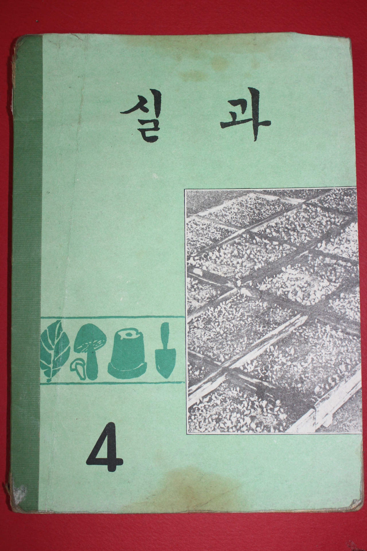 1969년 실과 4