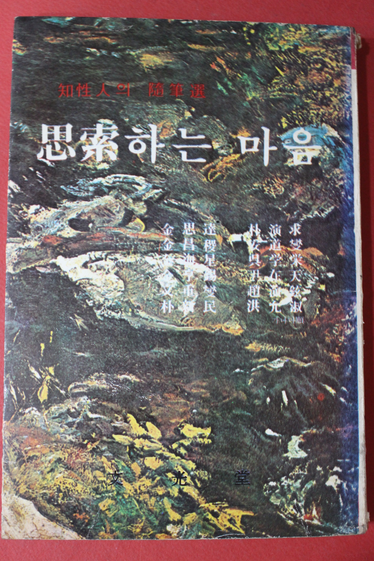 1977년 사색하는 마음