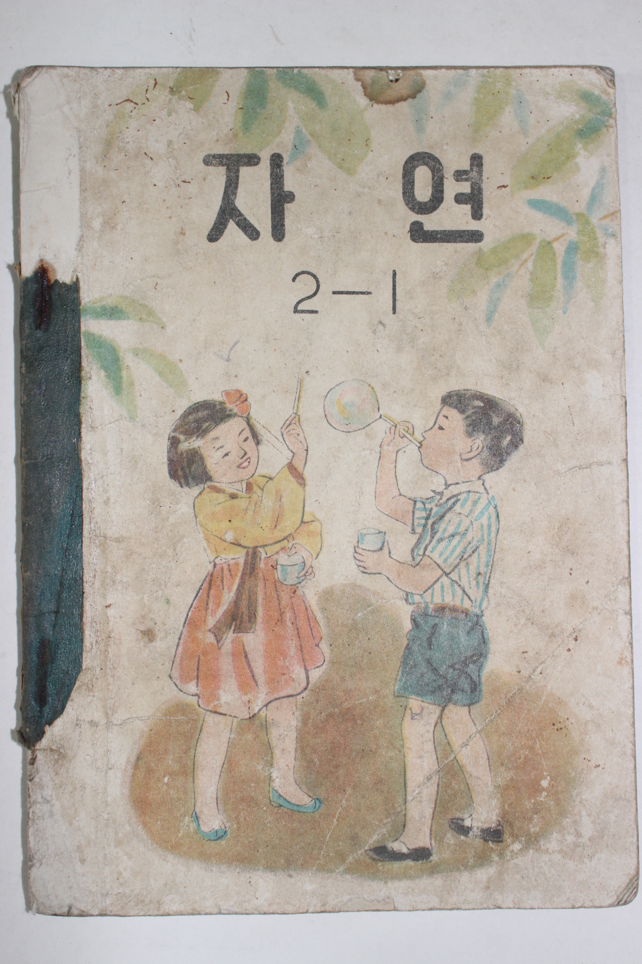 1957년 자연 2-1