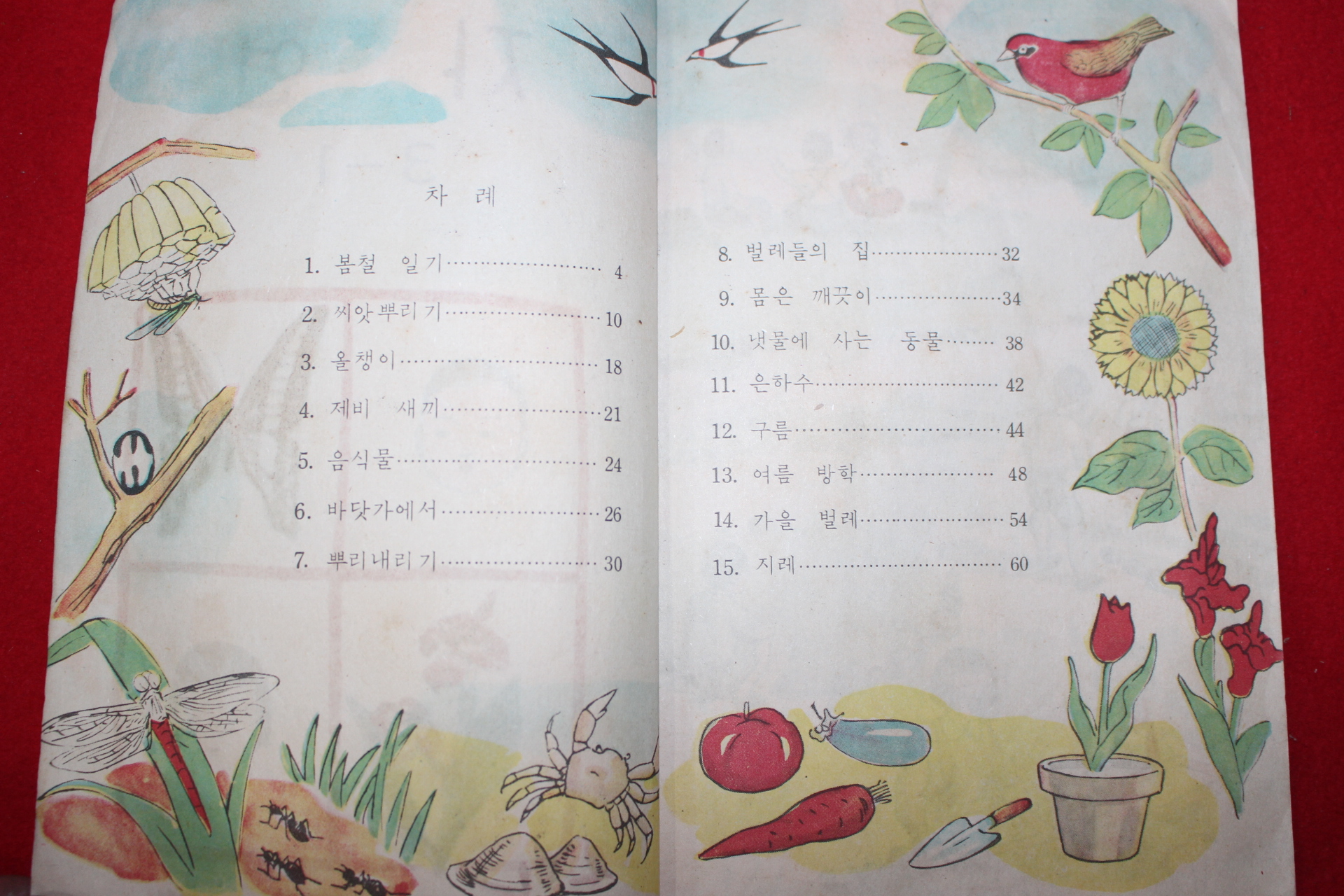 1961년 자연 3-1(뒷표지 낙장)