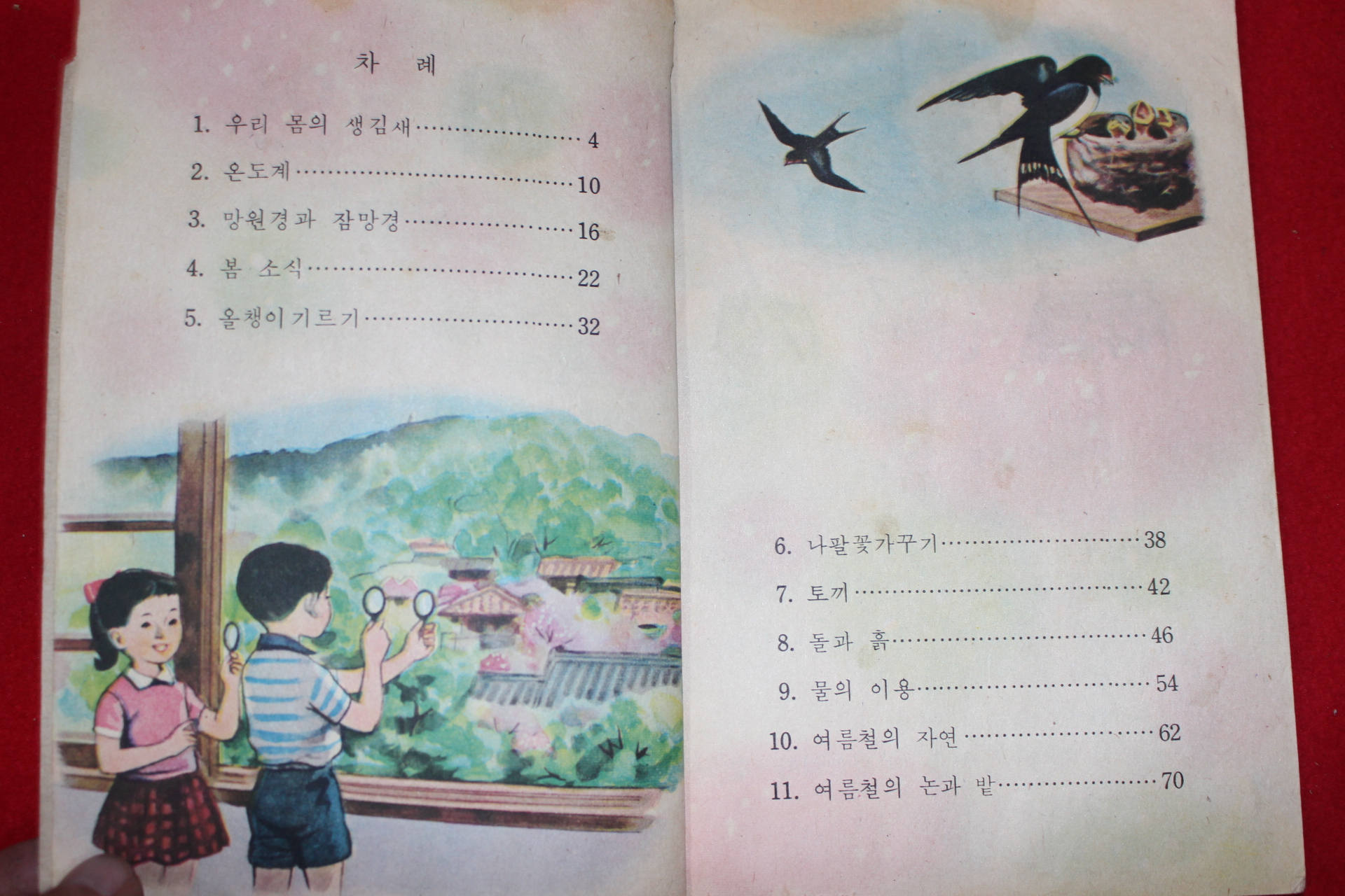 1968년 자연 3-1