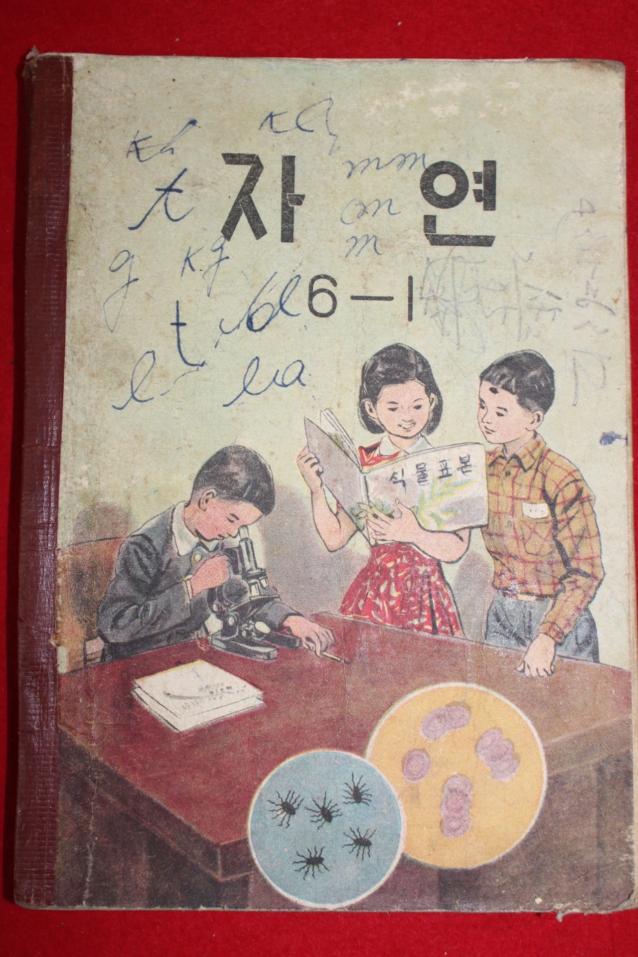 1962년(단기4295년) 자연 6-1