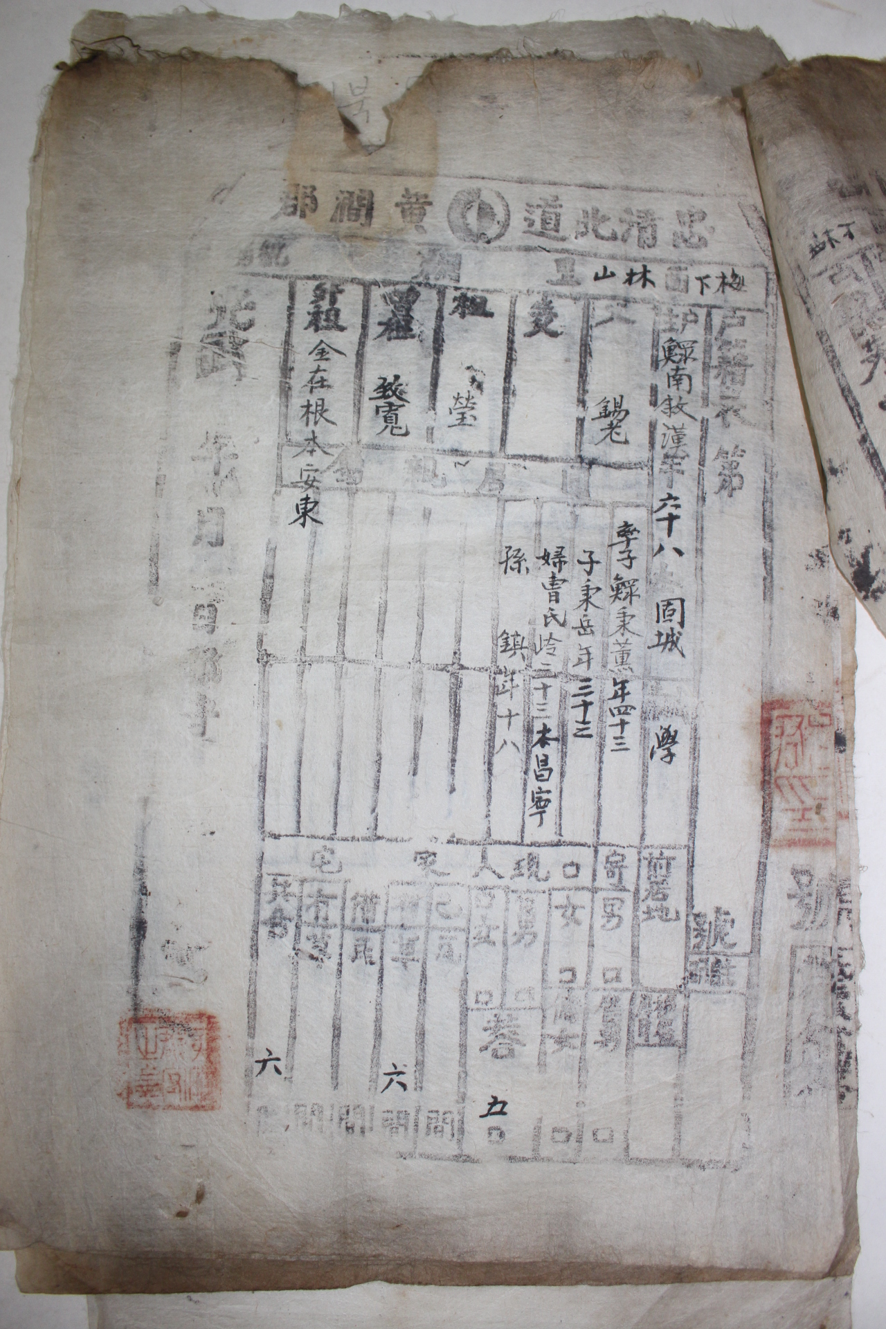 24-1897년(光武1年) 충북 황간거주 고성남씨 호구 4장